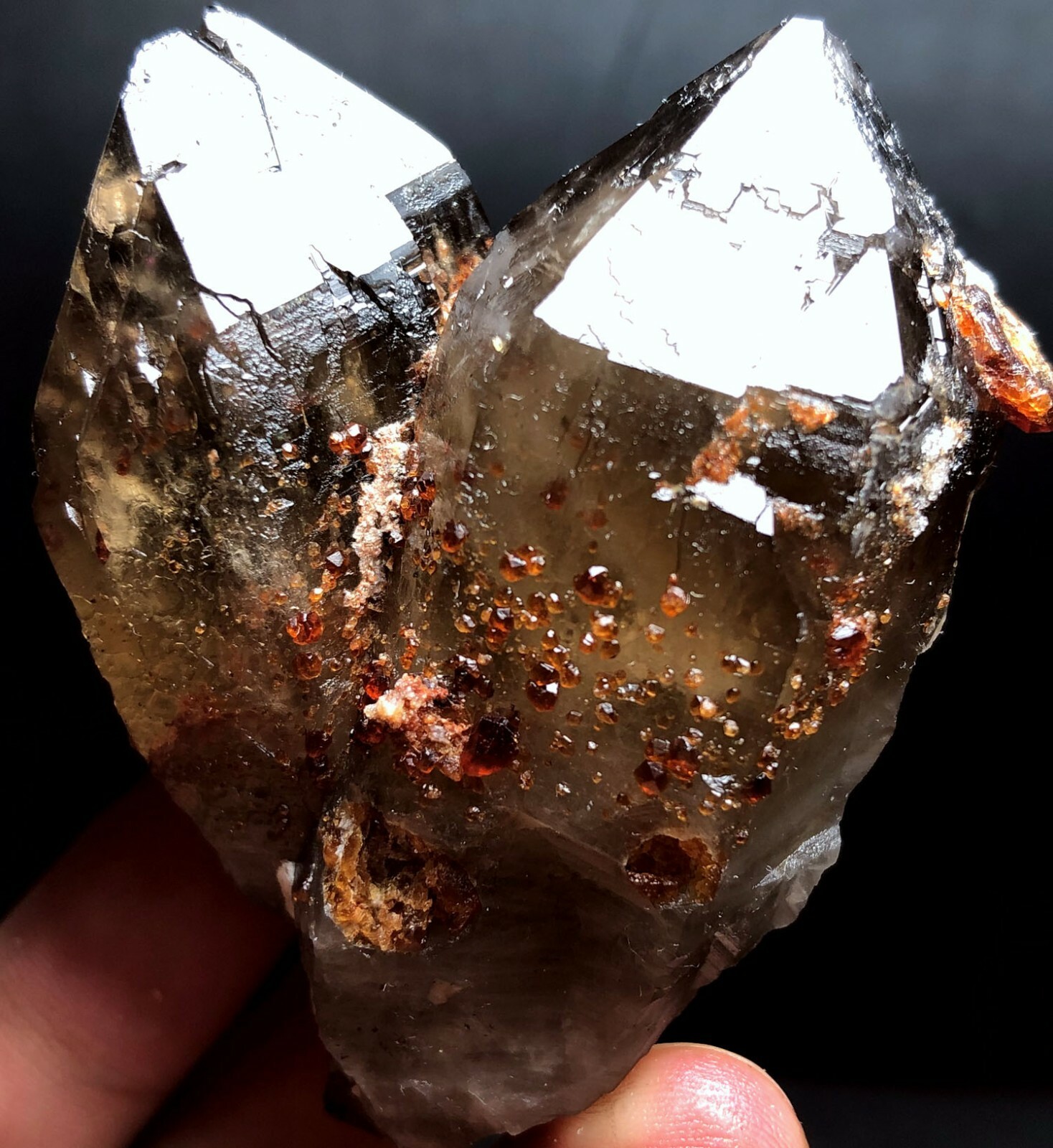 144g Brand new Rare Black SMOKY QUARTZ Crystal Point &Garnet Spessartine f193