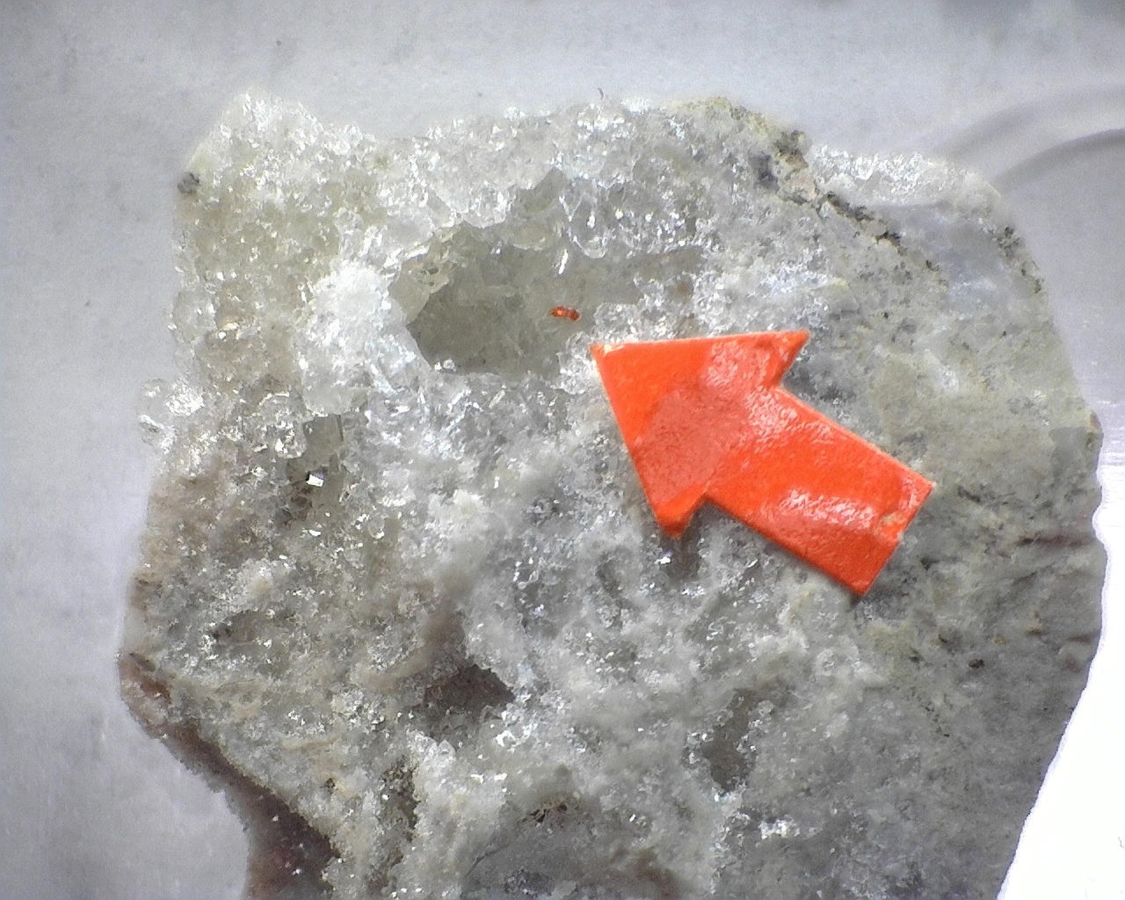 14058 MM Terlinguacreekite (orange arrows) McDermitt Mine Opalite Mining Distric