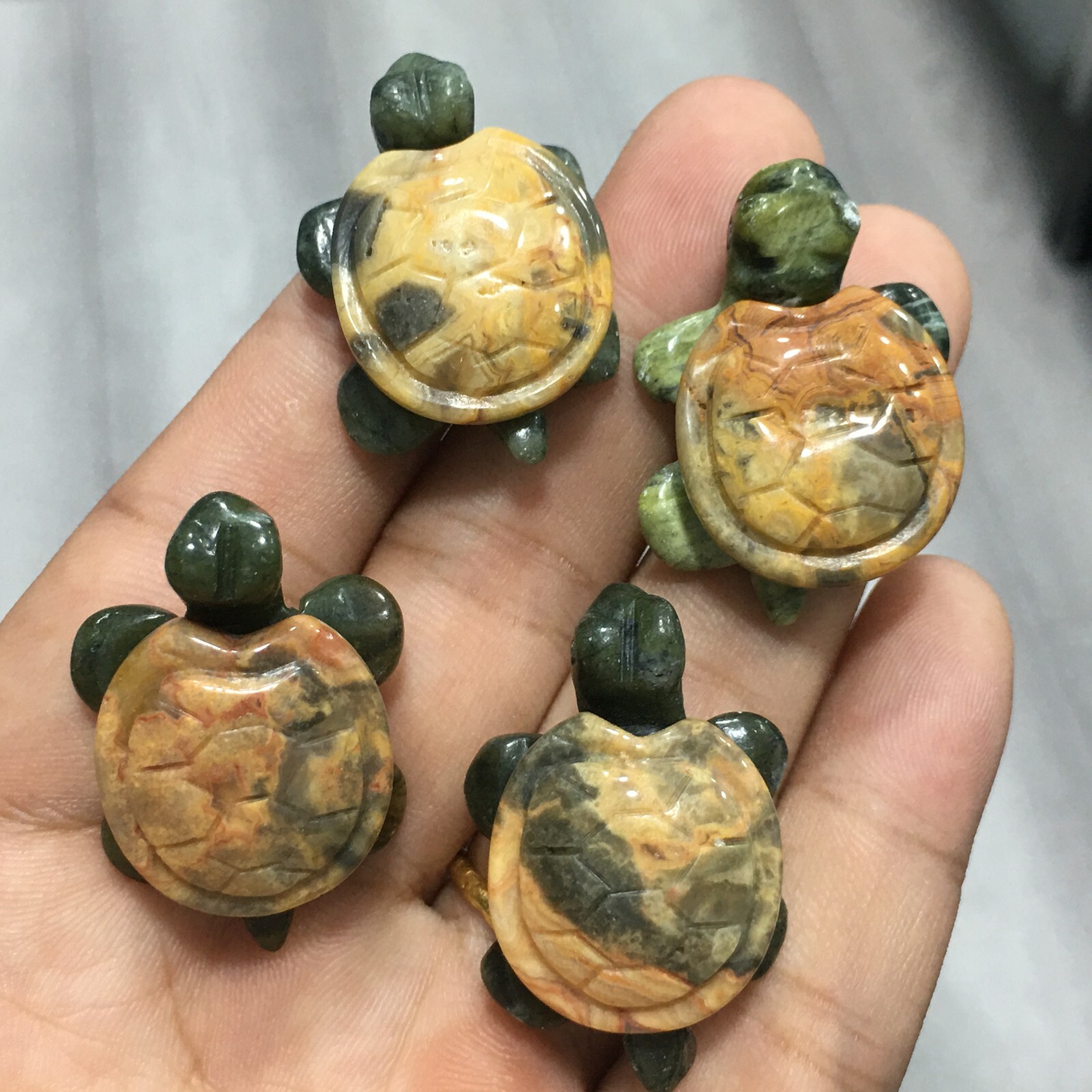 5pcs Natural Crazy agate quartz Crystal Sea turtle Carved Skull Reiki healing