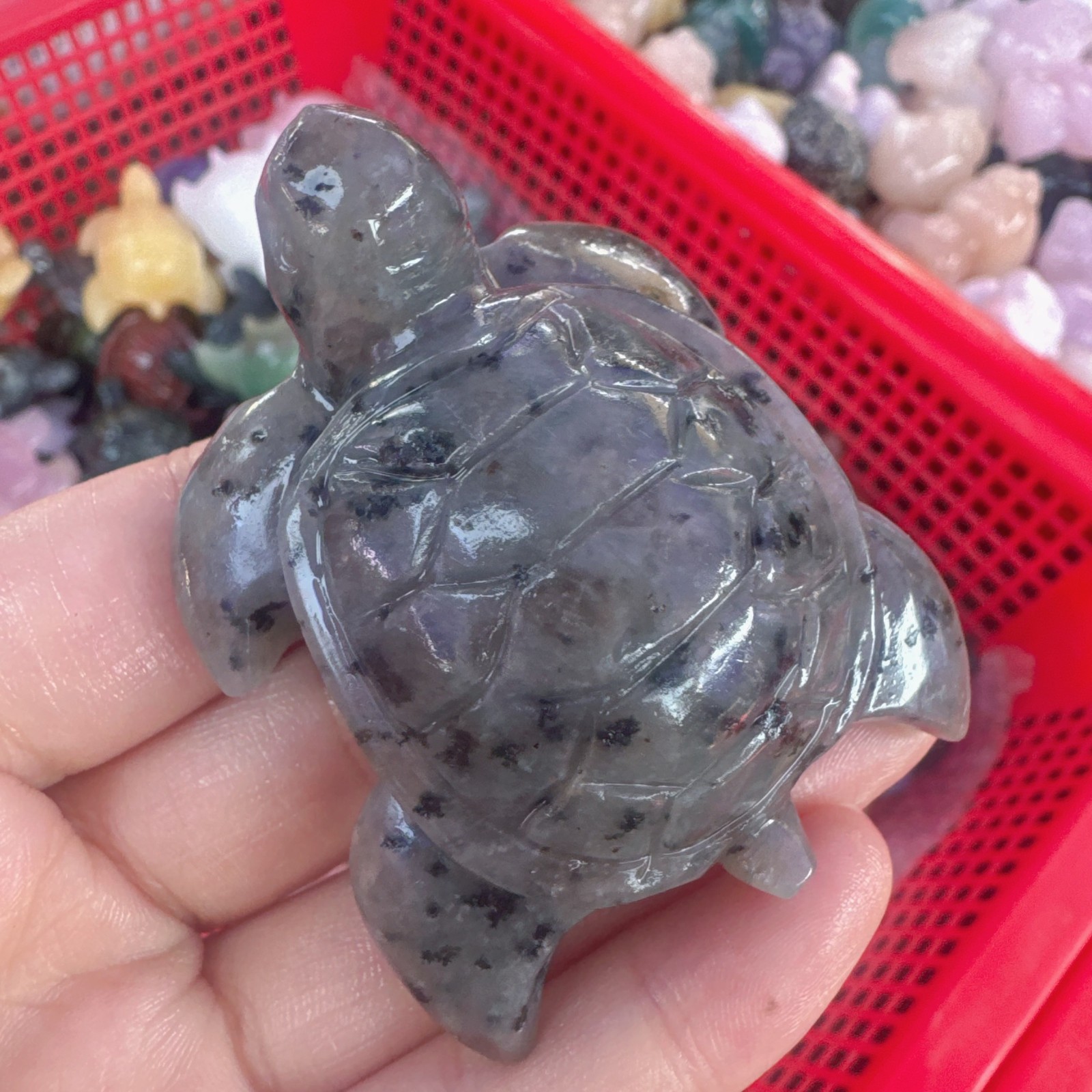 2” Natural Fire Golem Quartz Hand Caved Sea Turtle Crystal Reiki healing