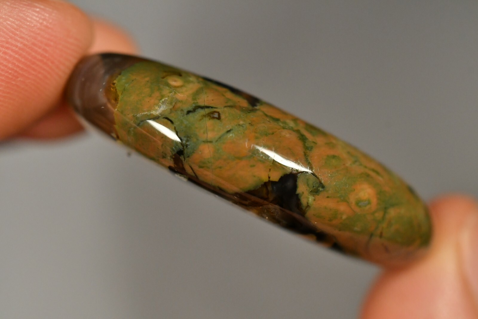 RHYOLITE Palm Stone 4.3cm 30g Flat Rainforest Jasper Healing Change Progress
