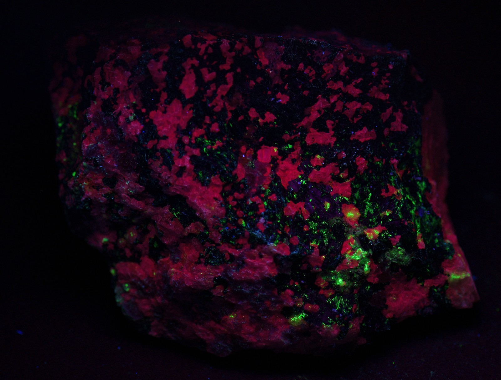 Eudialyte specimen with multiple other minerals UV. Kipawa, Canada. 435 grams.