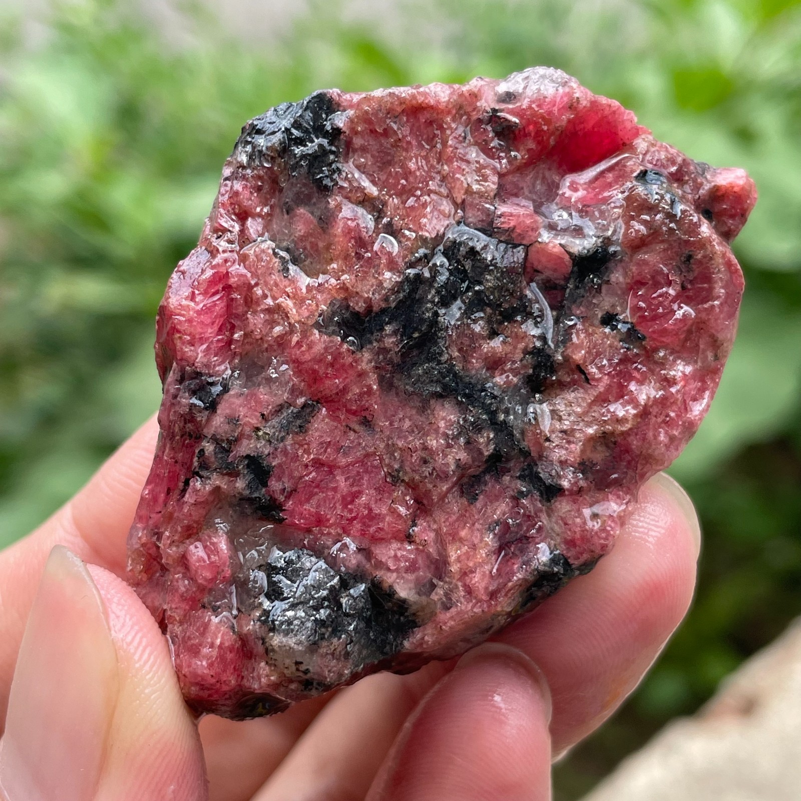 84g Small Raw Ore Red Black Rhodonite Quartz Gemstone Mineral Specimen
