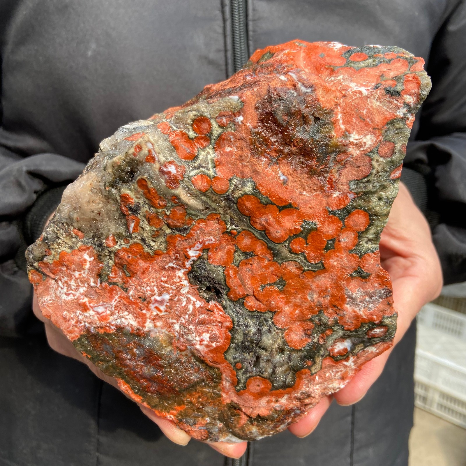 3.4lb Natural colourful ocean jasper raw stone crystal rough mineral specimen