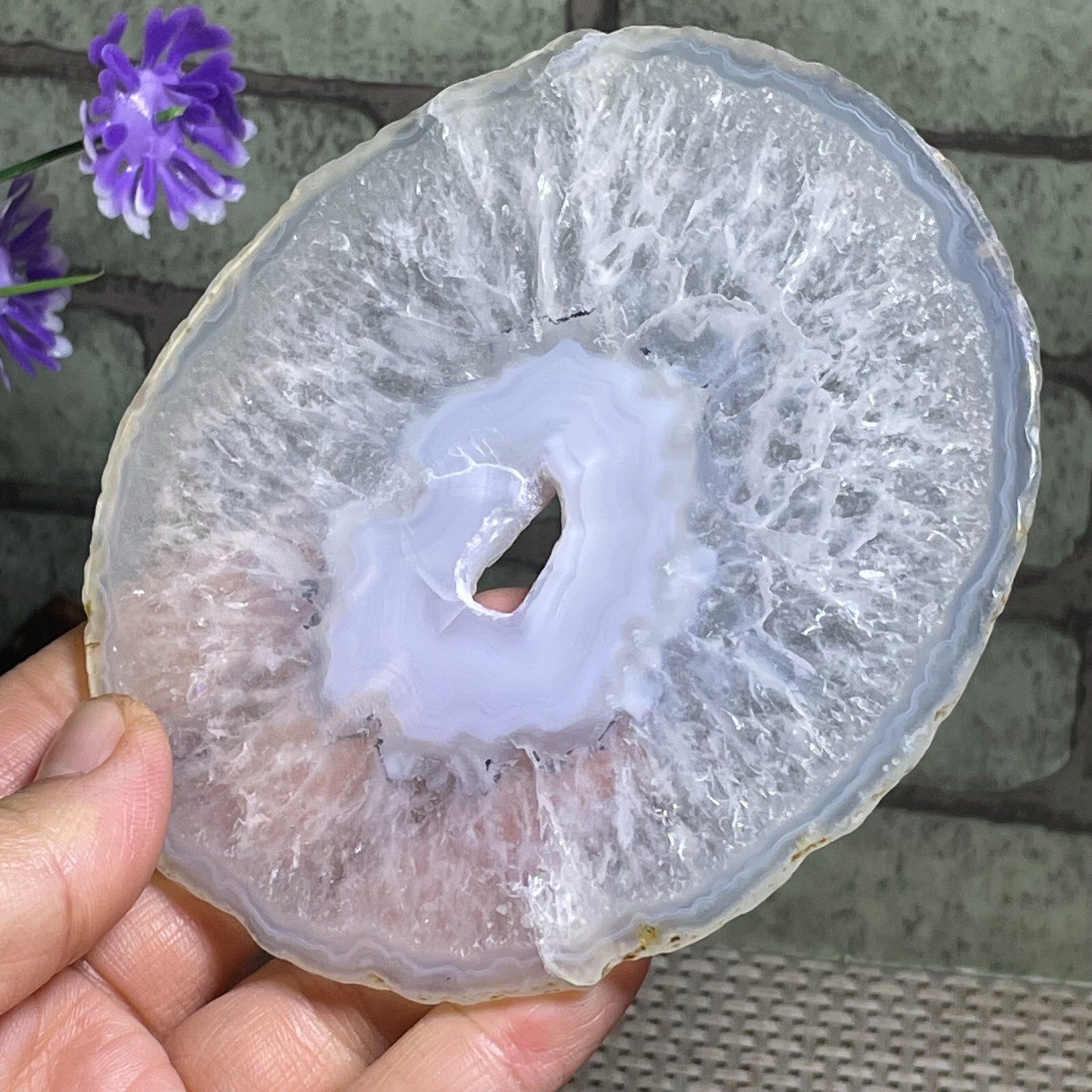 Bedrock Natural Agate Slice Coasters Display Table Round Geode Decor 124g AB42