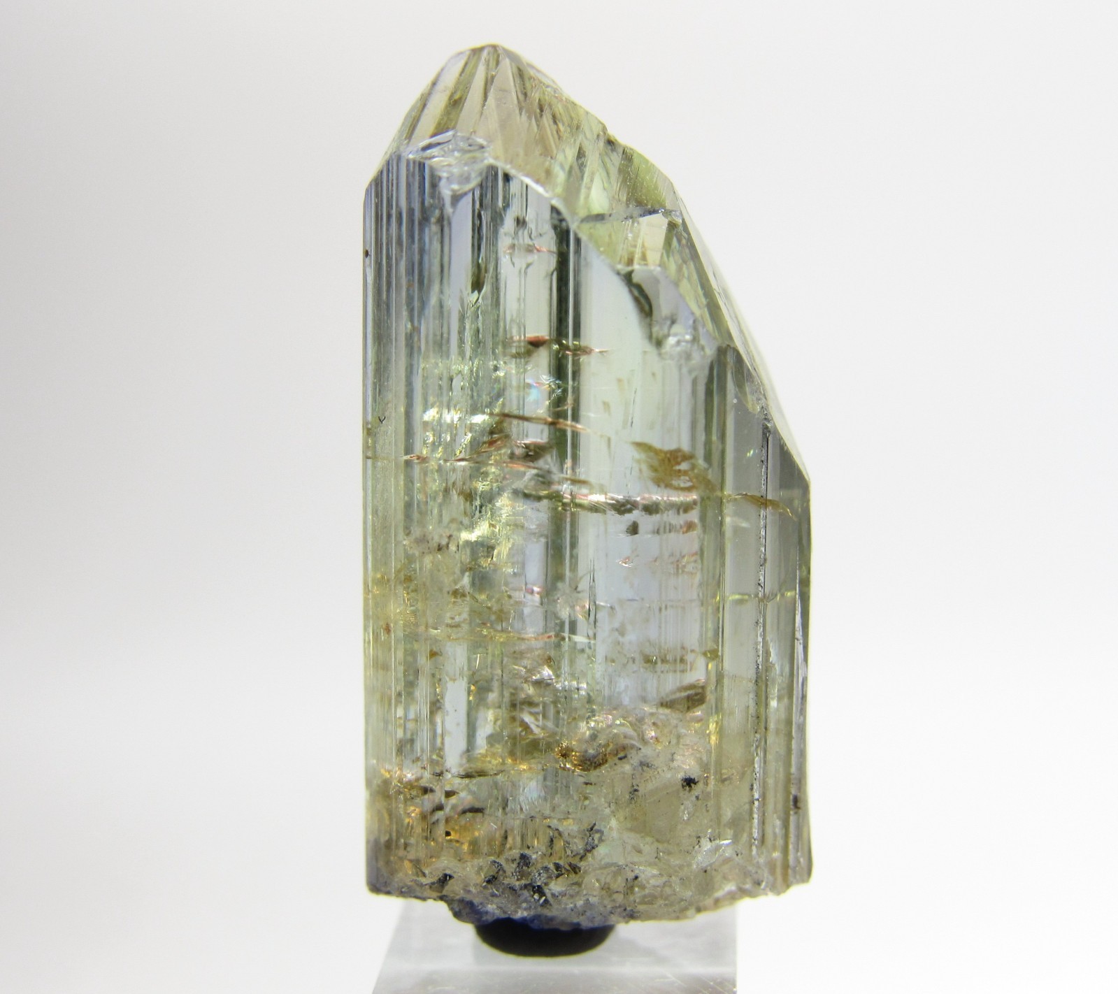 EXCEPTIONAL DRAMATIC UNHEATED GEM TANZANITE CRYSTAL!!! TANZANIA