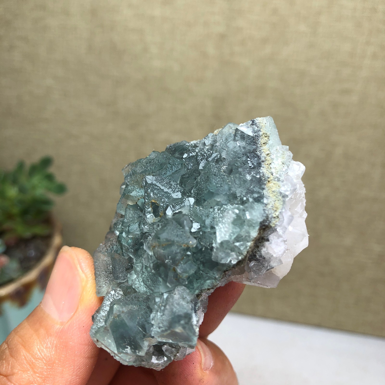 70g NATURAL Green Cubic FLUORITE Crystal Cluster Mineral Specimen A4740
