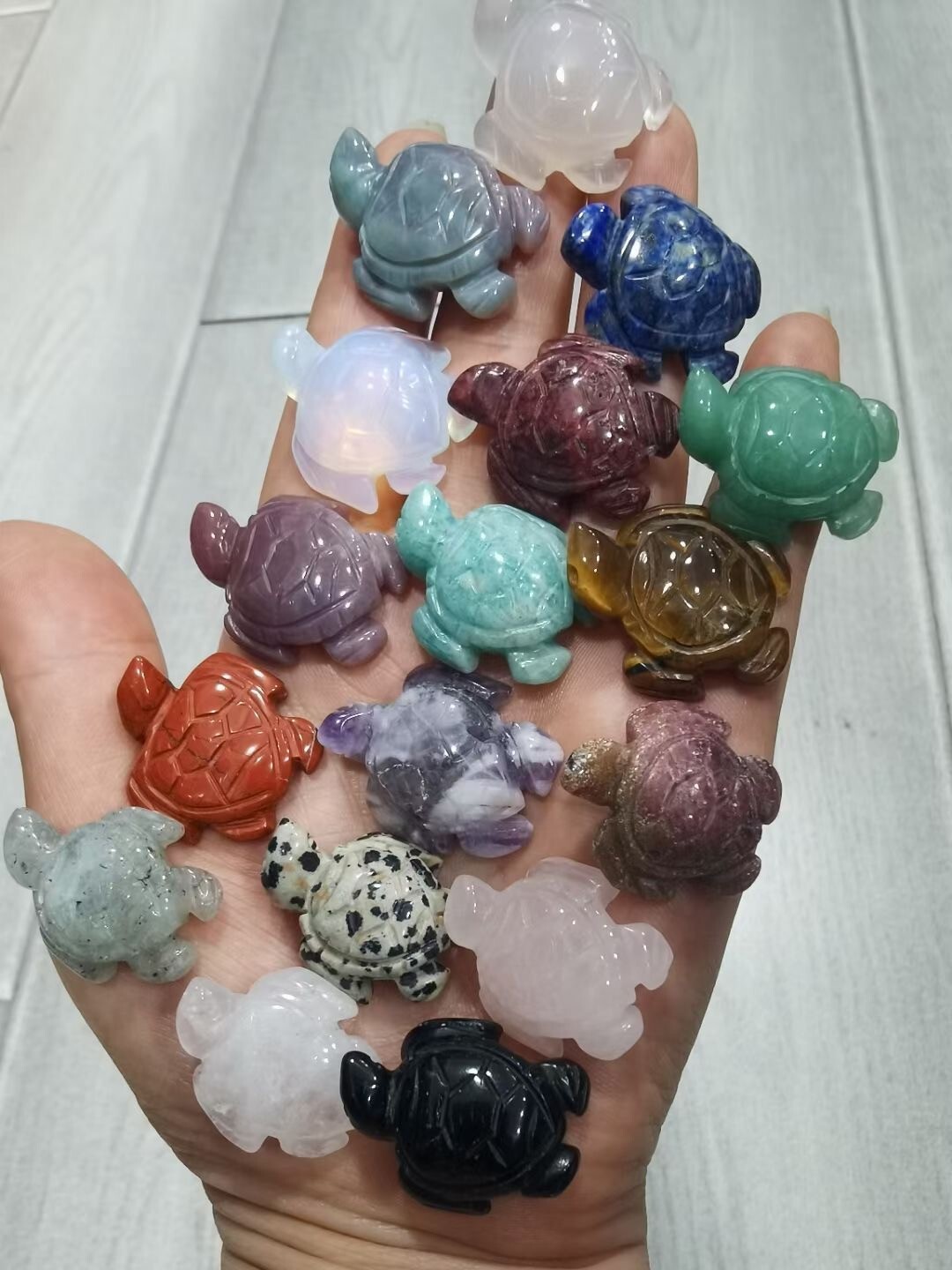 5PC Natural hybrid mini quartz Crystal Carved Sea turtle Skull Reiki random