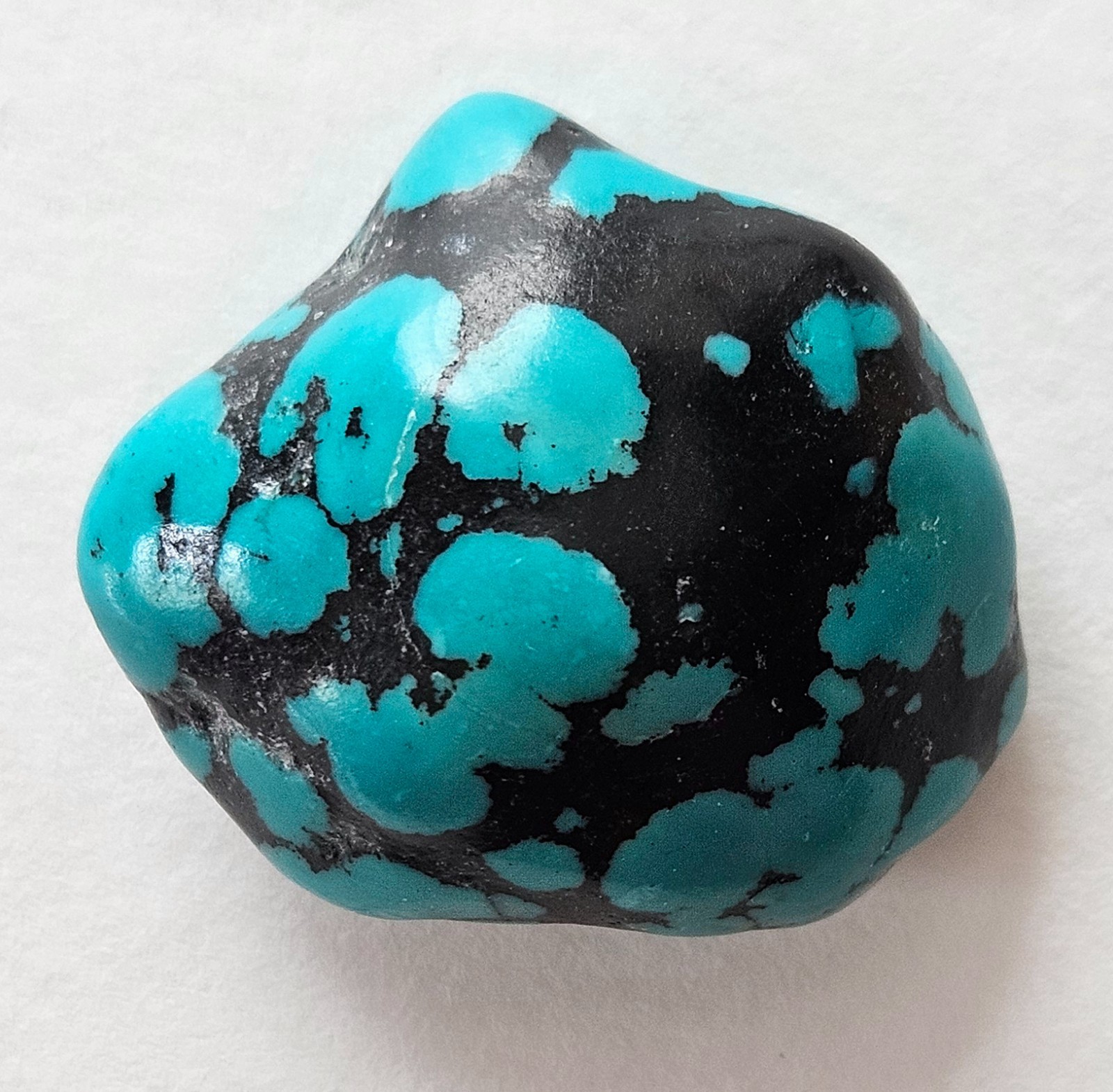 Beautiful Spider Web Turquoise