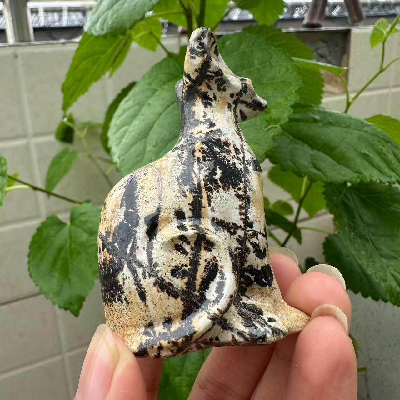 1pc Natural picture stone Quartz Carved cat skull Crystal Reiki healing gift