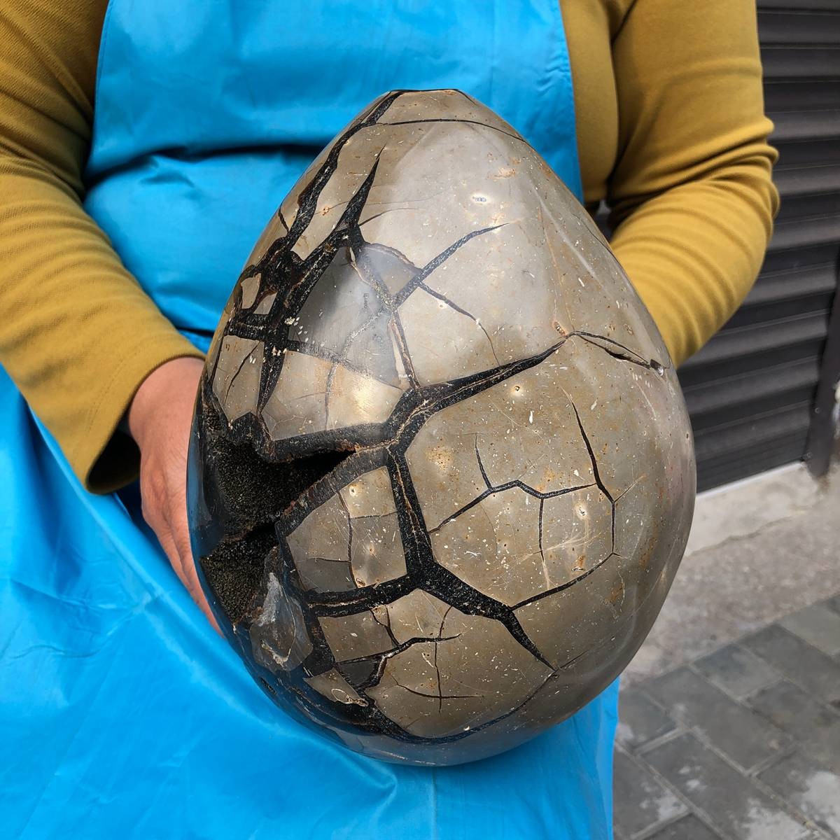 9120G Natural Turtle Back Stone Dragon Crystal Cave Crack Gem Healing 4352