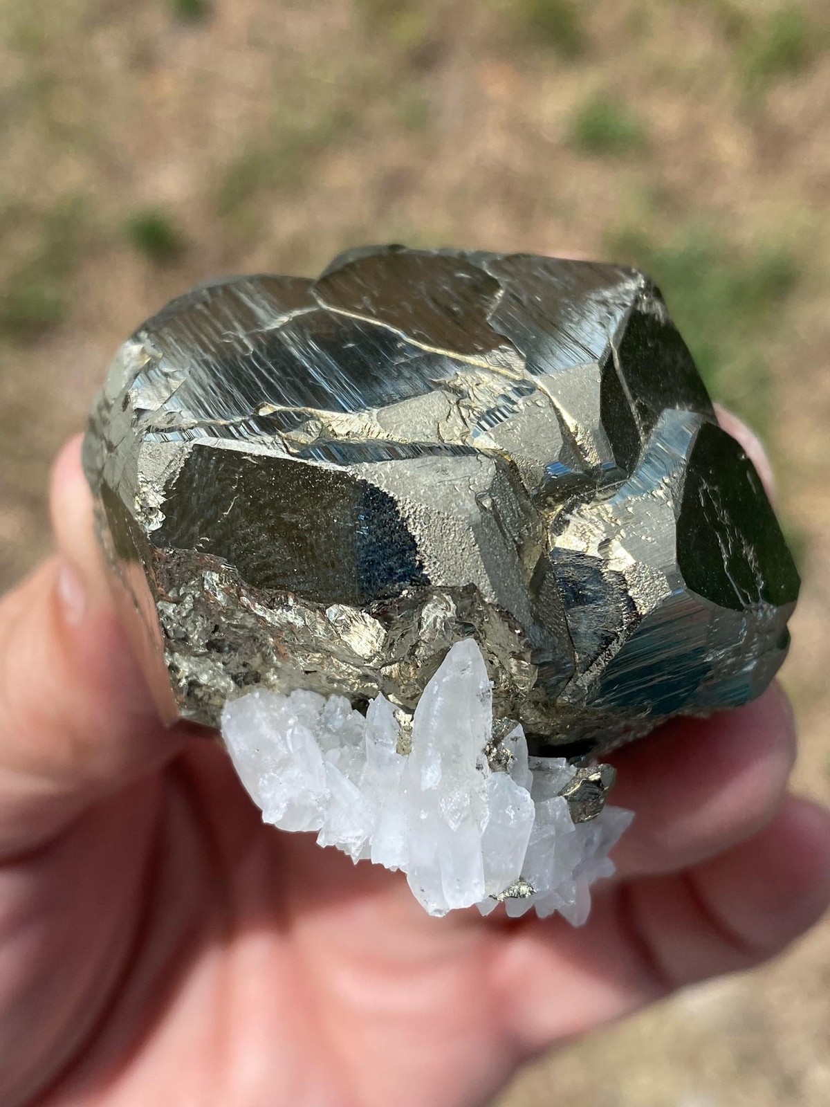 Shimmering Pyrite Dodecahedron with Quartz! See Video!