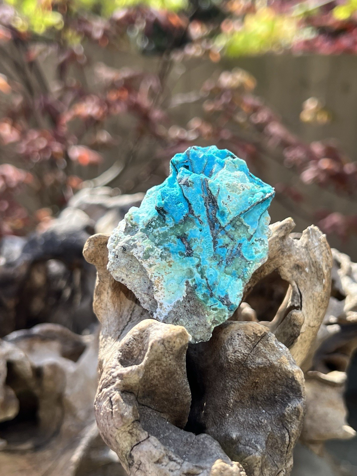 Chrysocolla Crystal Natural Unpolished Raw Specimen With Copper 2