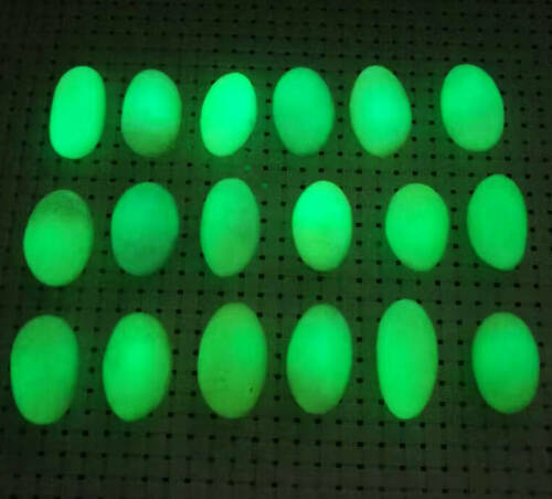 10pcs Glow In The Dark Tibetan Wealth God Ancient Luminous Crystal Sphere Egg