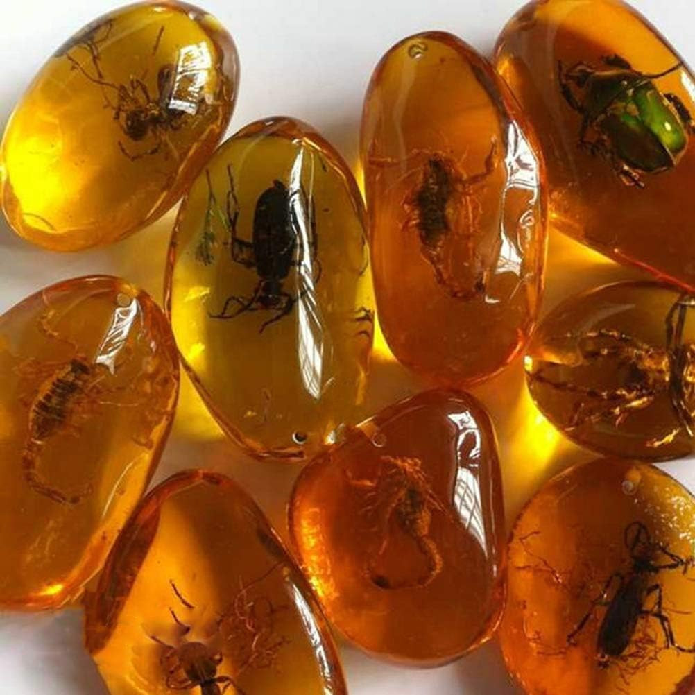 5Pcs Amber Fossil with Insects Samples Stones Crystal Specimens Home Dec