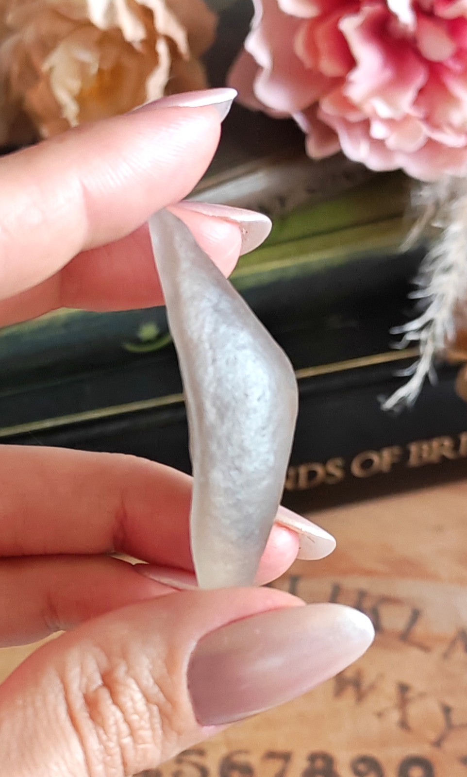 RARE! Gobi Desert Agate With Moving Sand Inclusions Sediment Enhydro Crystal