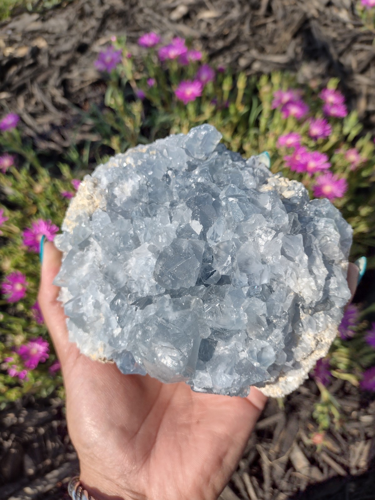 XL Celestite Cluster Raw Stone Rough Crystal Geode Specimen