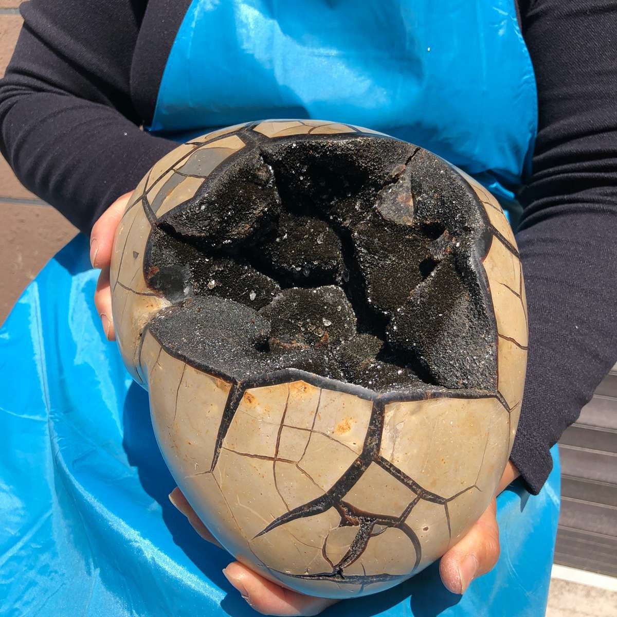 6280G Natural Turtle Back Stone Dragon Crystal Cave Crack Gem Healing 4343