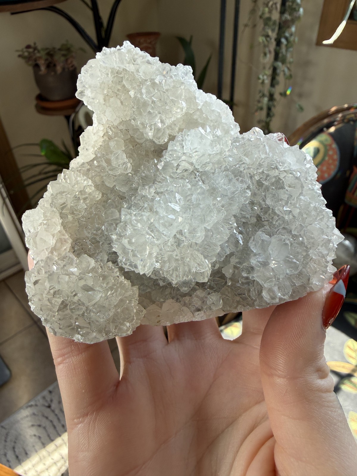 Quartz Cluster with Floral Formations – Sparkly Short Quartz Points – 8.89oz