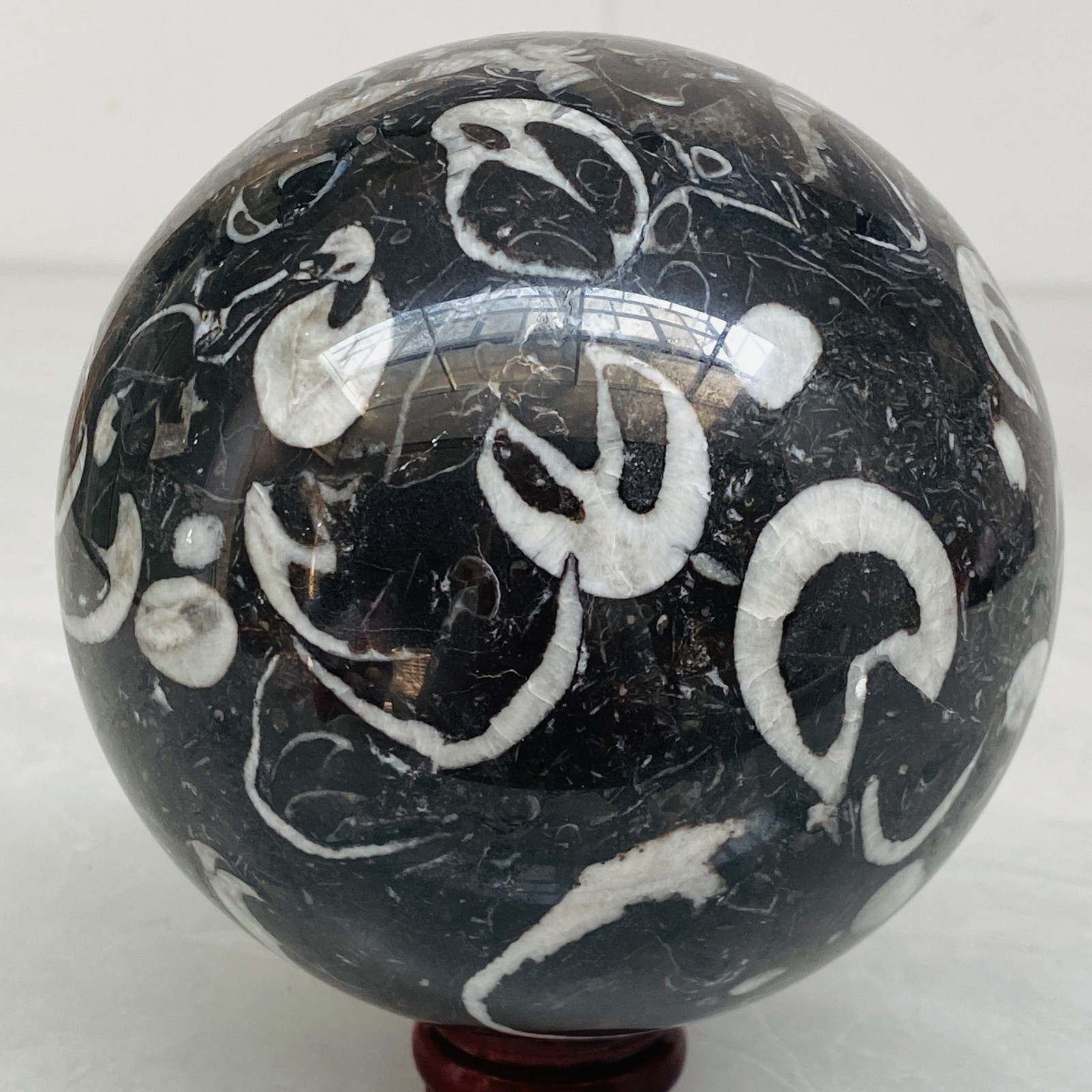Natural Shell Jasper Thousand Eye Stone Crystal Polished Ball Healing (4.98LB)