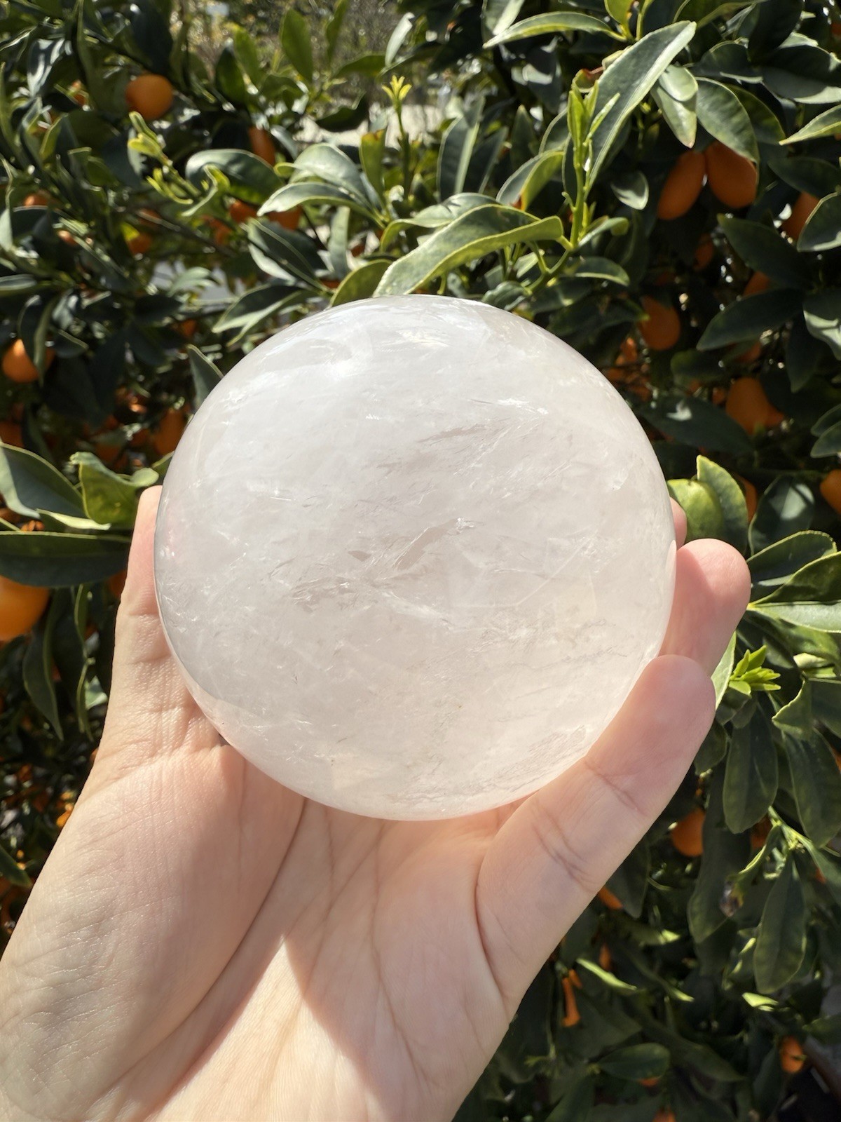 8.7cm Ice Pink Large High Quality Star Rose Quartz Sphere with Asterism,A108