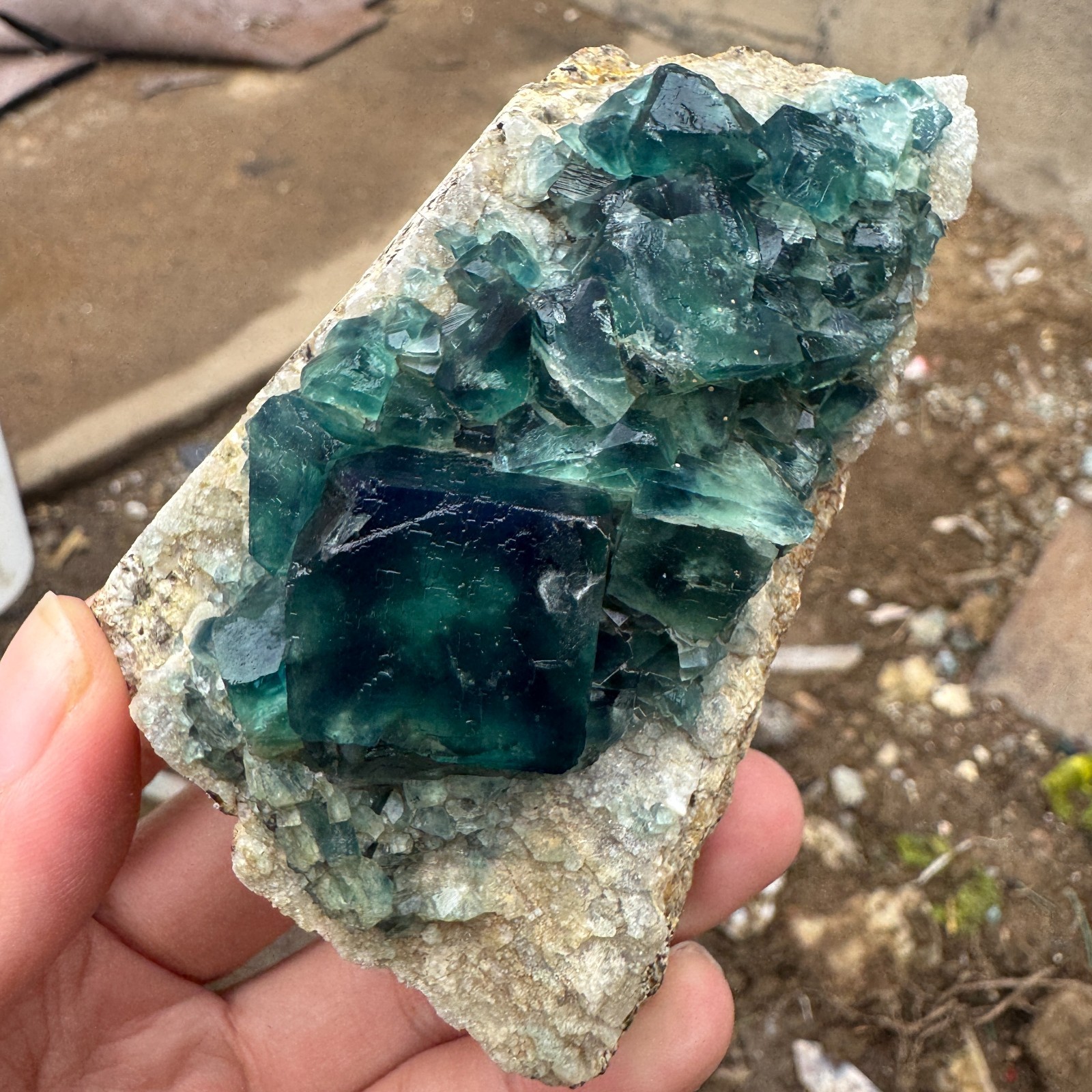 200G Natural cubic green fluorite crystal cluster rough mineral specimen Healing