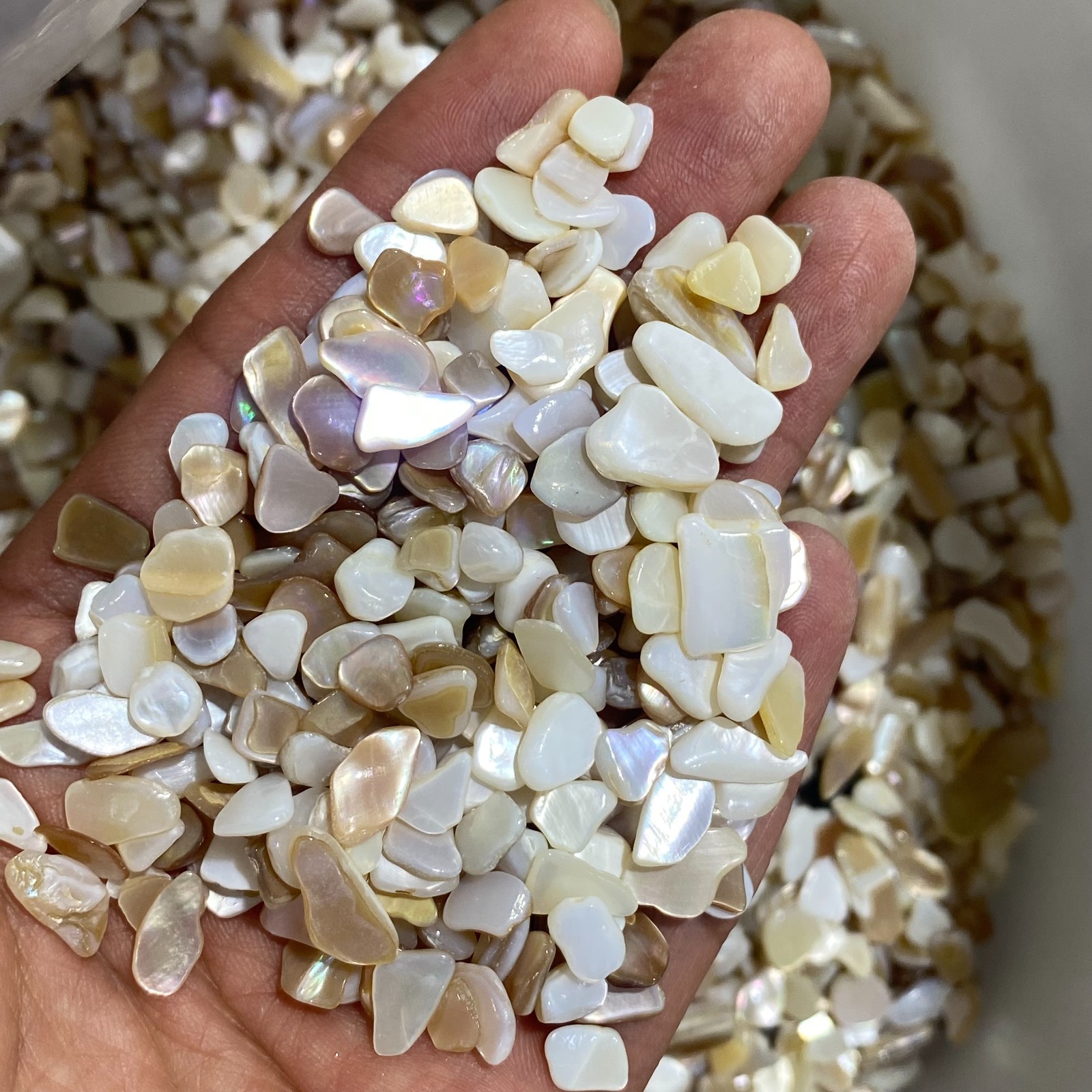 200g Natural White shell Pieces Chips Decorations Healing 5-7mm