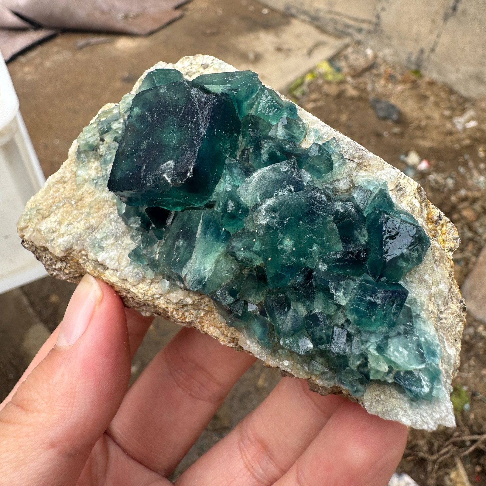 200G Natural cubic green fluorite crystal cluster rough mineral specimen Healing