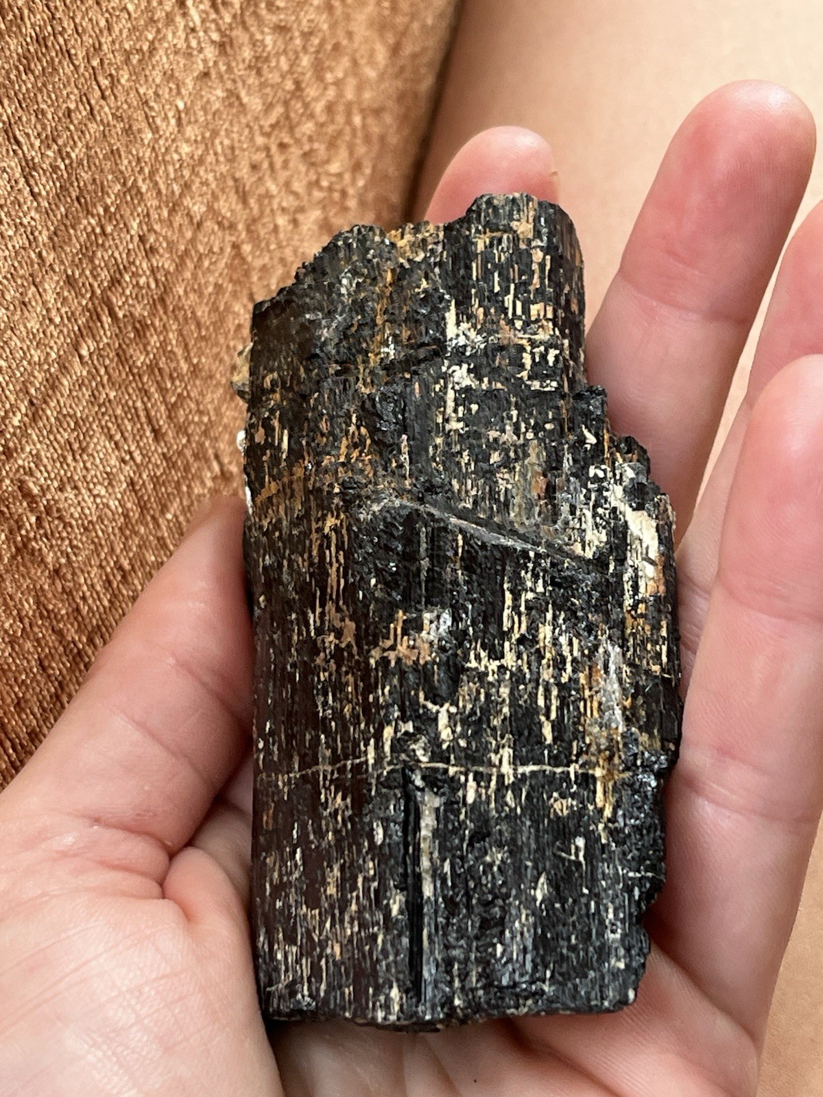 Large black tourmaline Schorl Crystal, Maine Locality, Muscovite Mica Inclusion