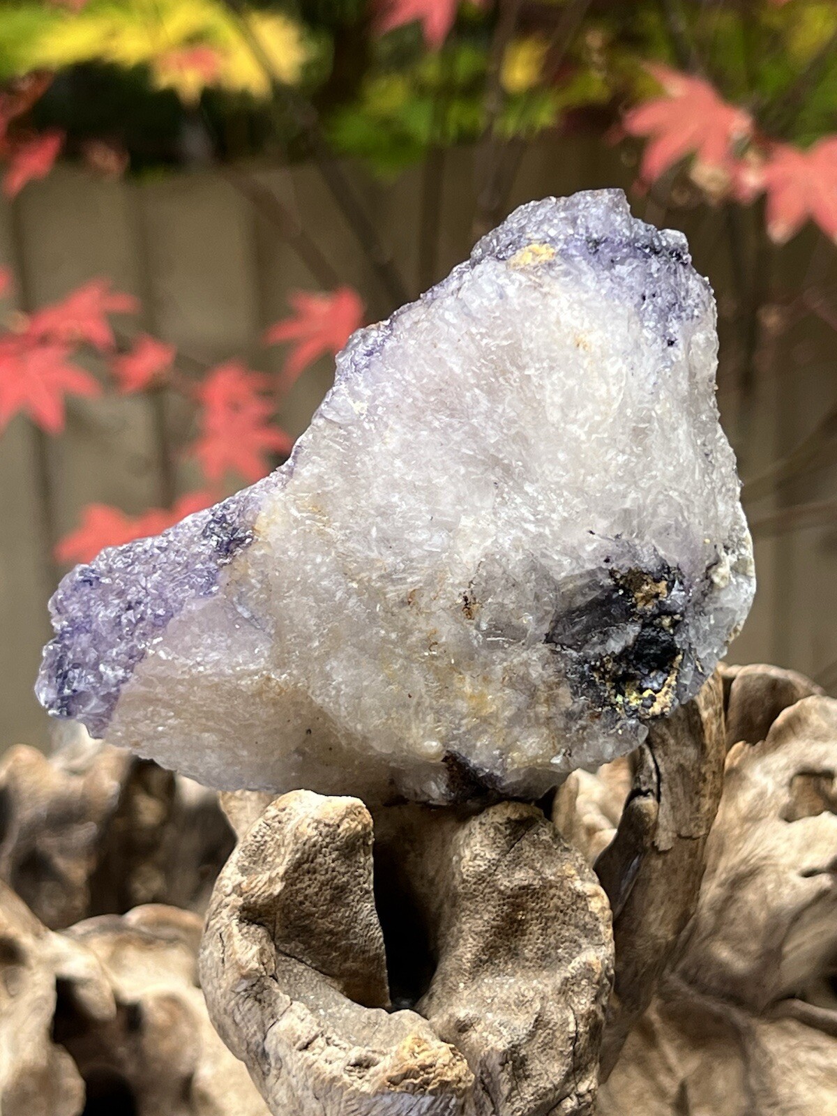 Blue John Fluorite Mineral Specimen United Kingdom 400g 15