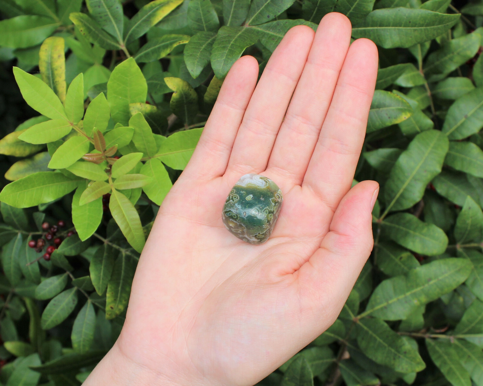 Sea Jasper Tumbled Stones: 10 Piece Lot (Crystal Healing)