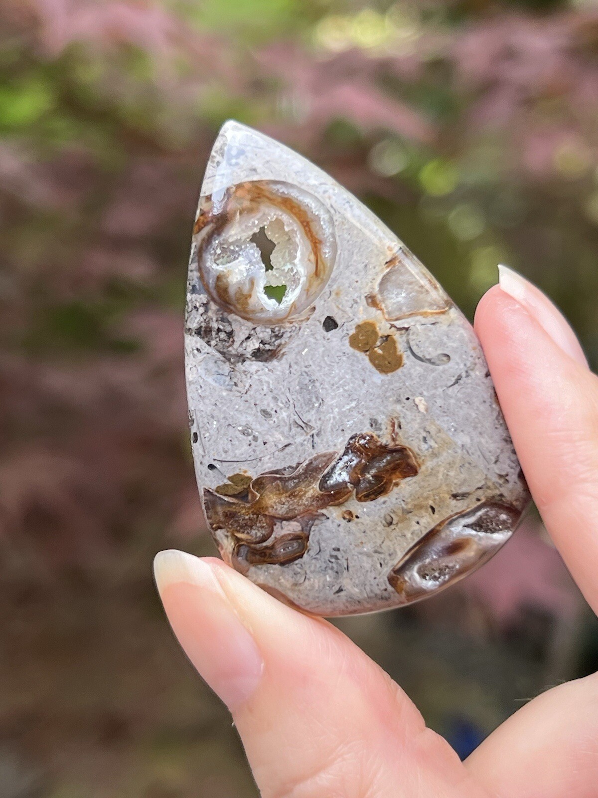 Turritella Agate Cabochon AAA+ 14g R308