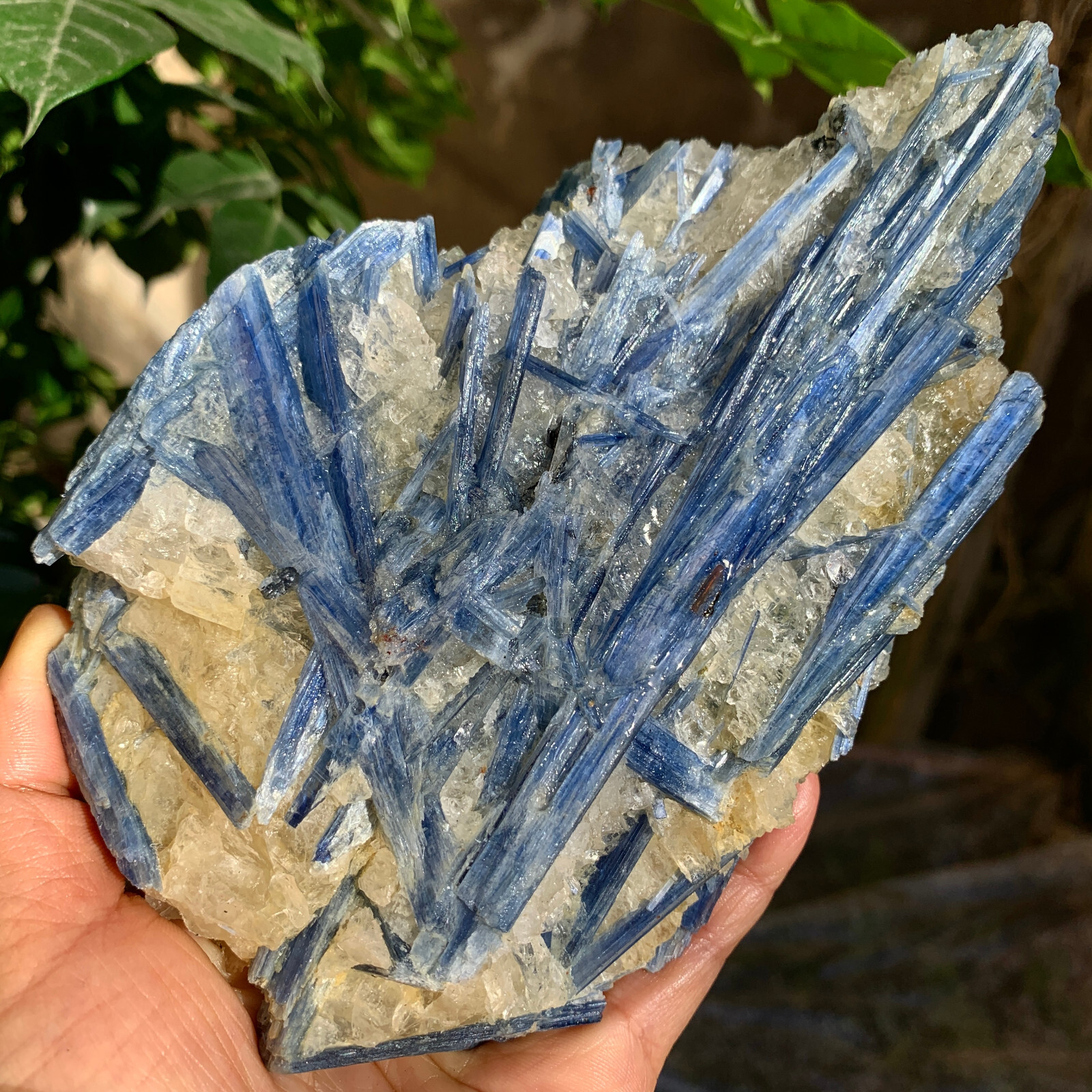 2.24LB Natural beautiful Blue KYANITE with Quartz Crystal Specimen Rough