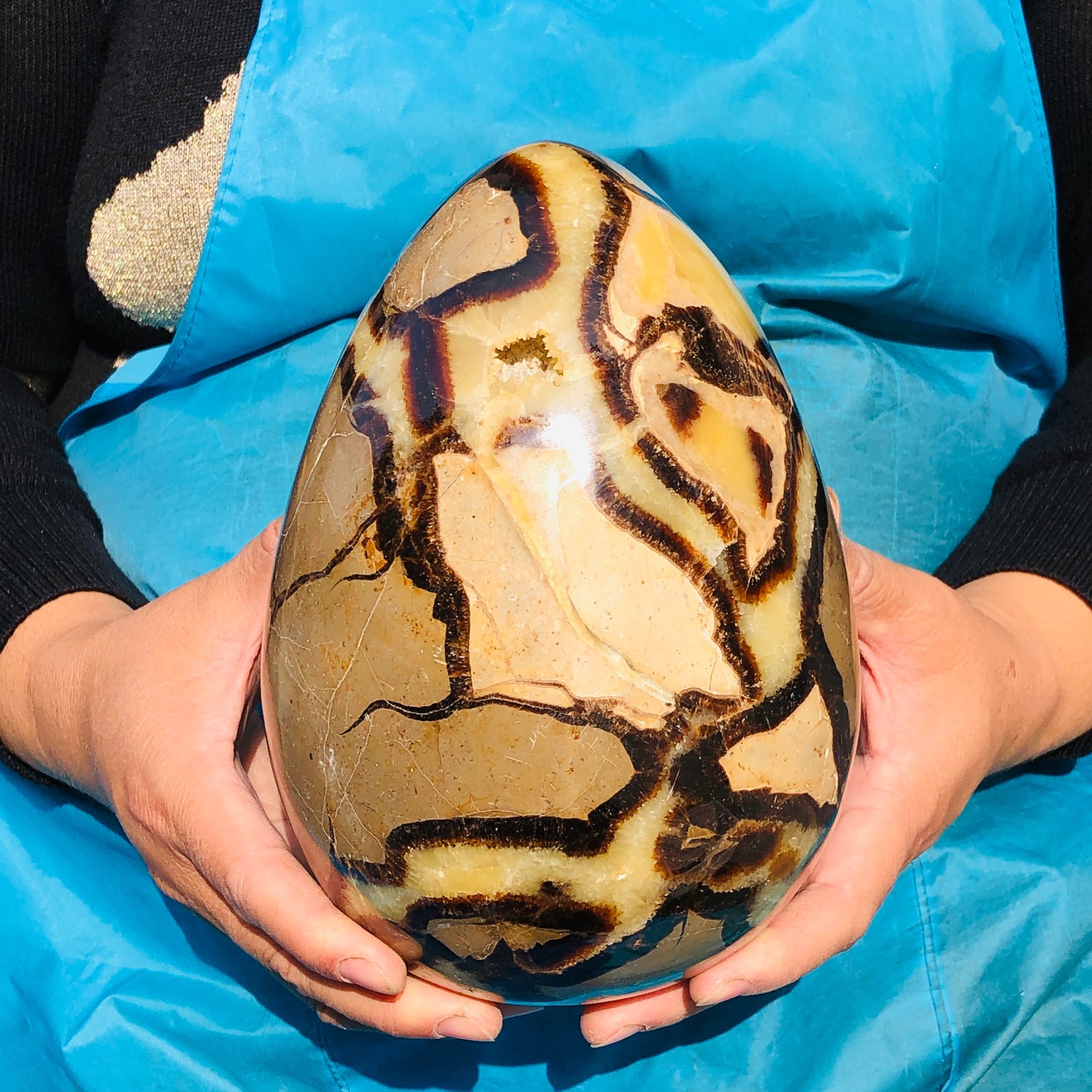 4340g Natural Dragon Septarian egg Quartz Crystal decoration