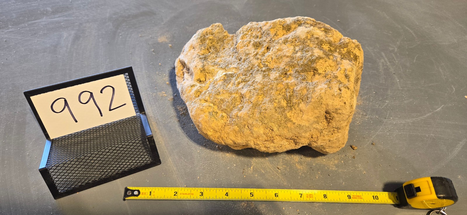 8″ Large Pumice Stone Floating Natural Rock Carnivorous Succulent Garden #992
