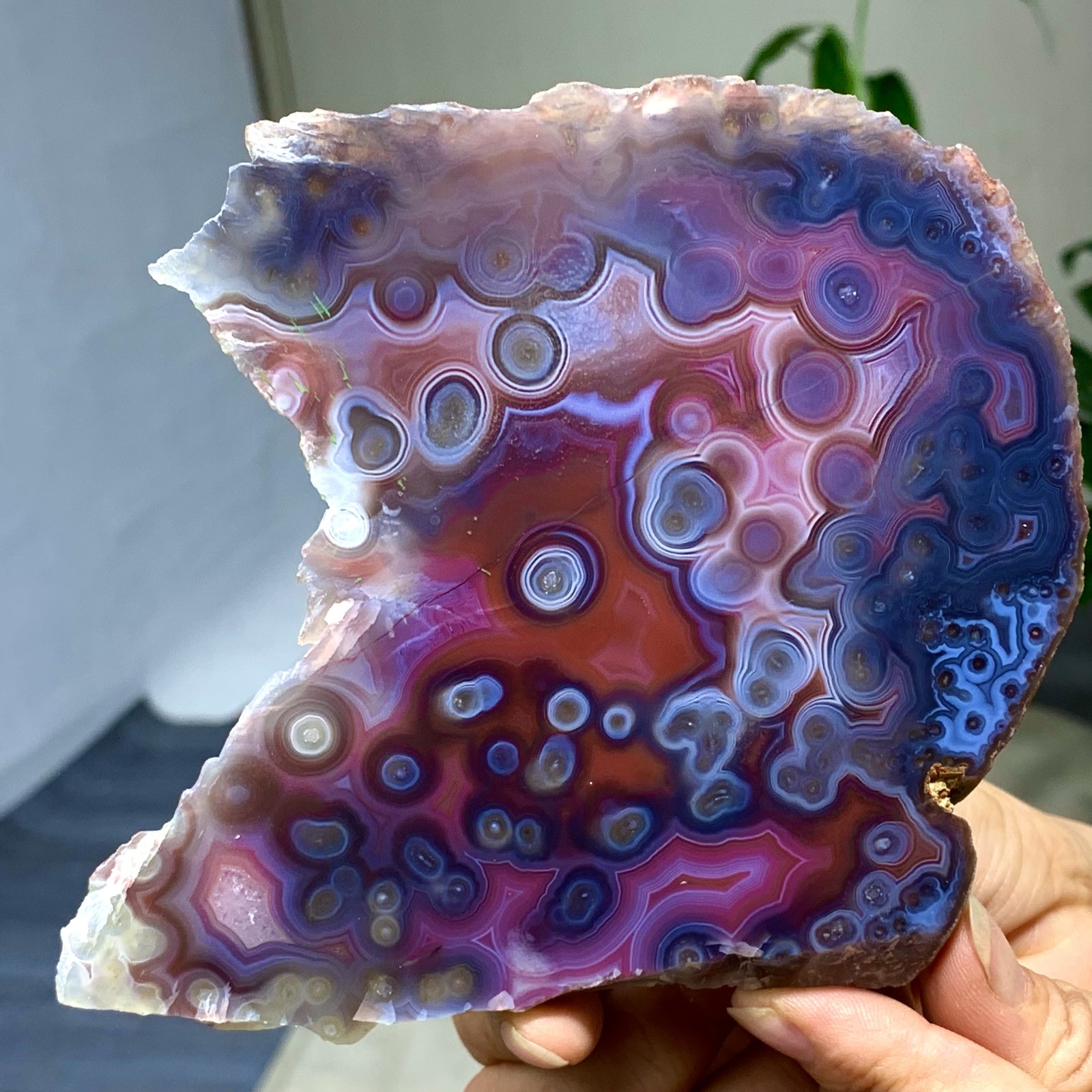 227G Natural Polished Warring States Red Agate slice quartz Stone Healing