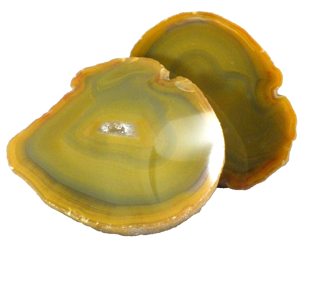 Agate Nodule, polished halves Pair Agate Creek Queensland Australia (EA9602)
