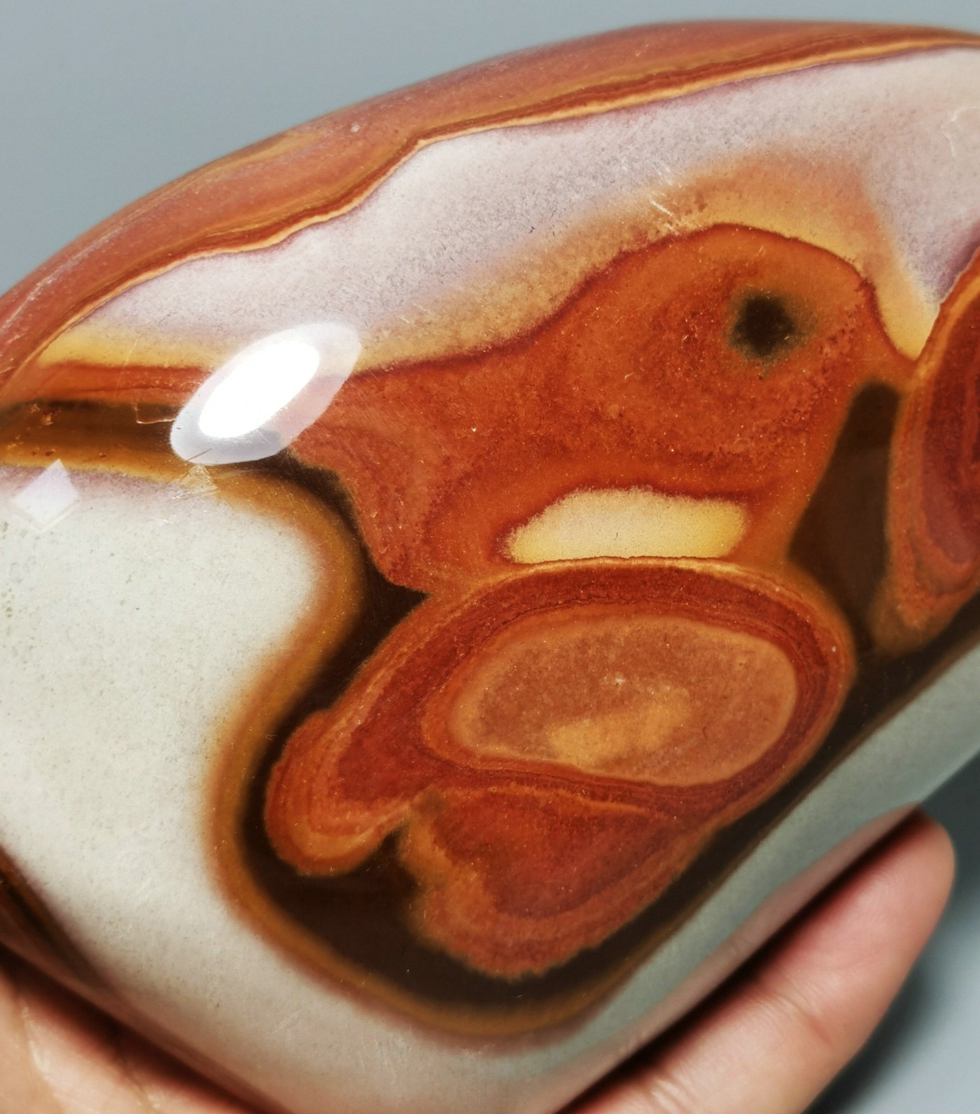 Rare Polished Polychrome Jasper Freeform Reiki Stone Healing