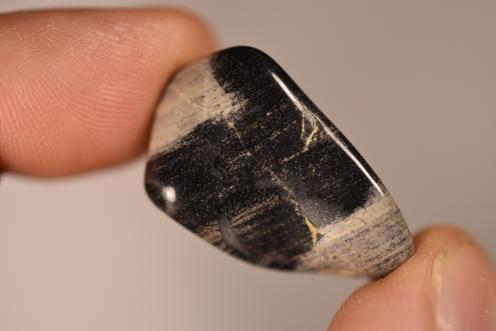 5 *SILVER LEAF JASPER* Tumbled Stones 2-4cm 71g Natural Stone