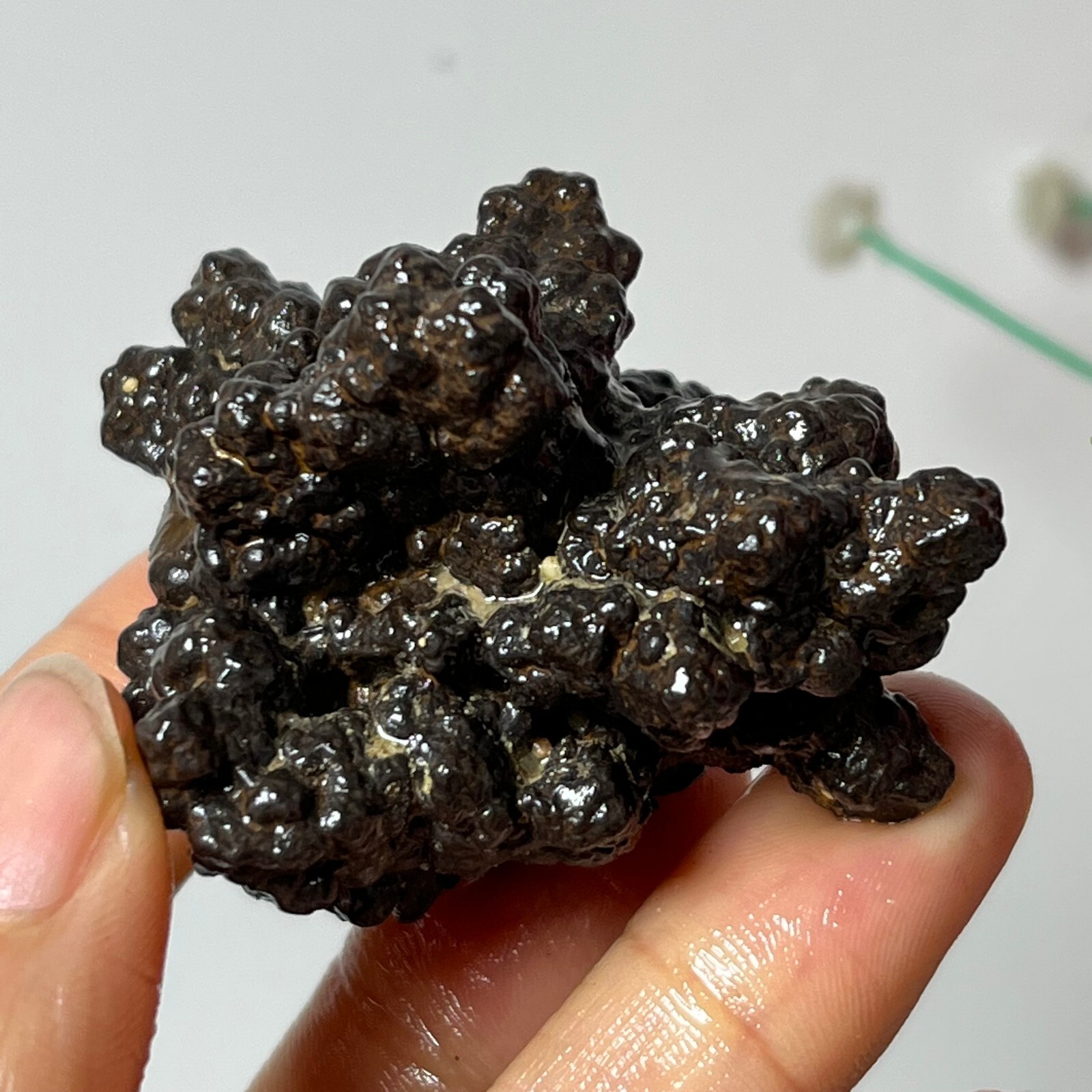 Top-level AAA+Natural Limonite And Hematite Prophecy Stone From Egypte-After
