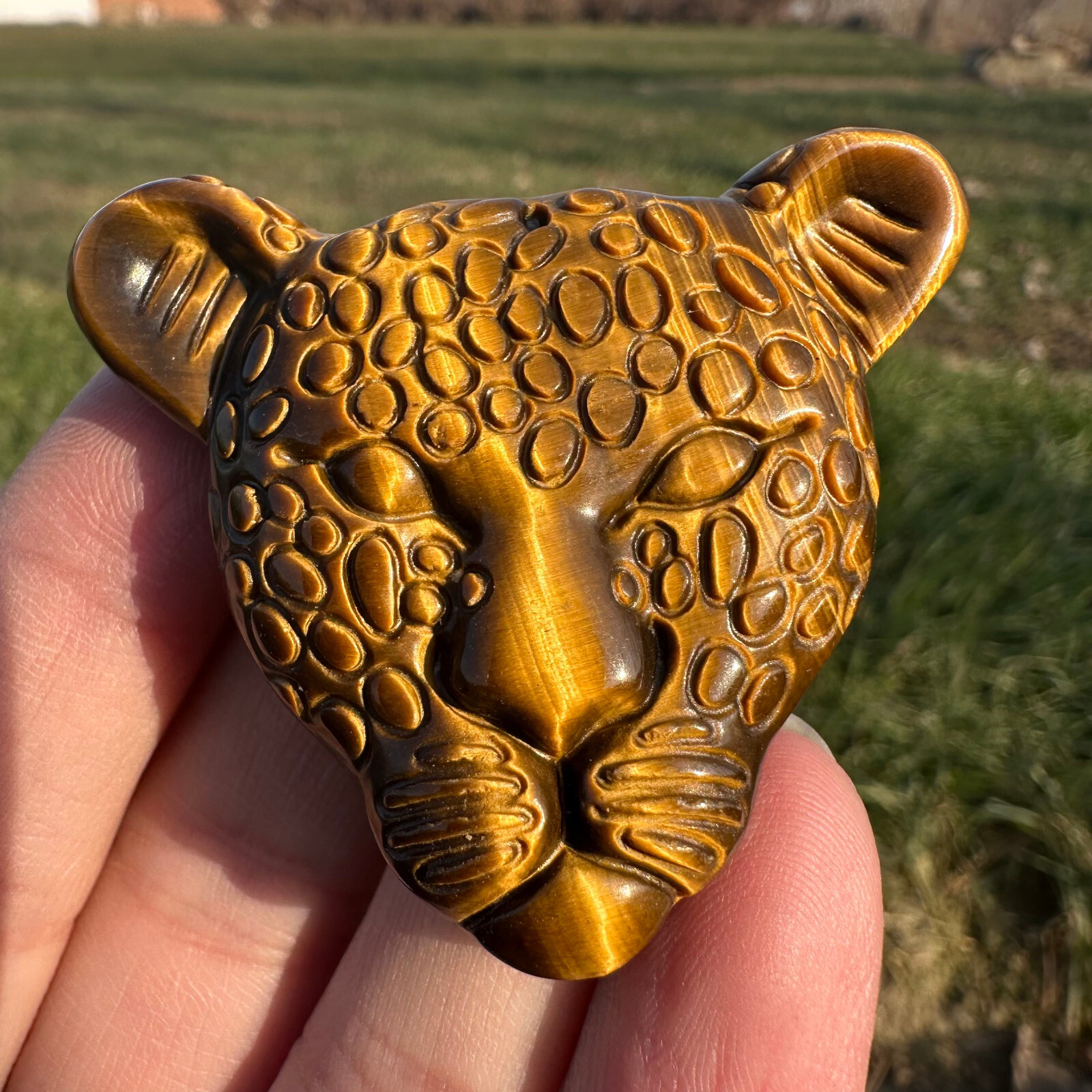 Natural Carved Tiger eye Cheetah Skull Quartz Crystal Specimen Reiki Healing 1pc