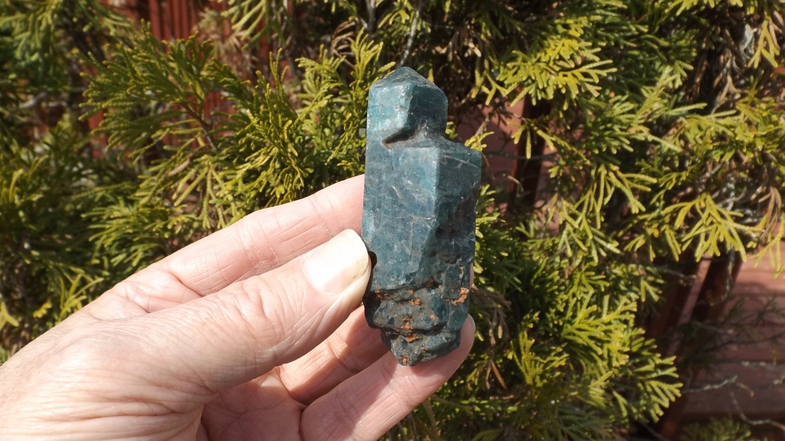 PEACOCK BLUE APATITE CRYSTAL 3″in – 510 carat DOUBLE TERMINATED NATURAL SCEPTER