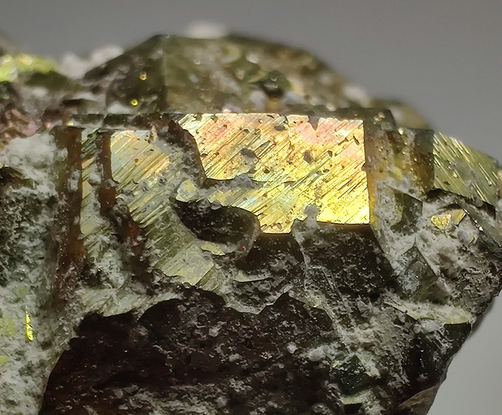 Iridescent Chalcopyrite crystal specimen. Klein Quarry, Iowa. 4 cm.
