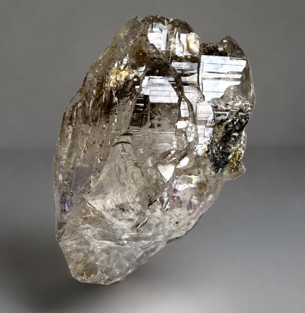 “The Gilded Summit” Ganesh Himalayan Quartz Smoky-Grey Basin Termination Crystal