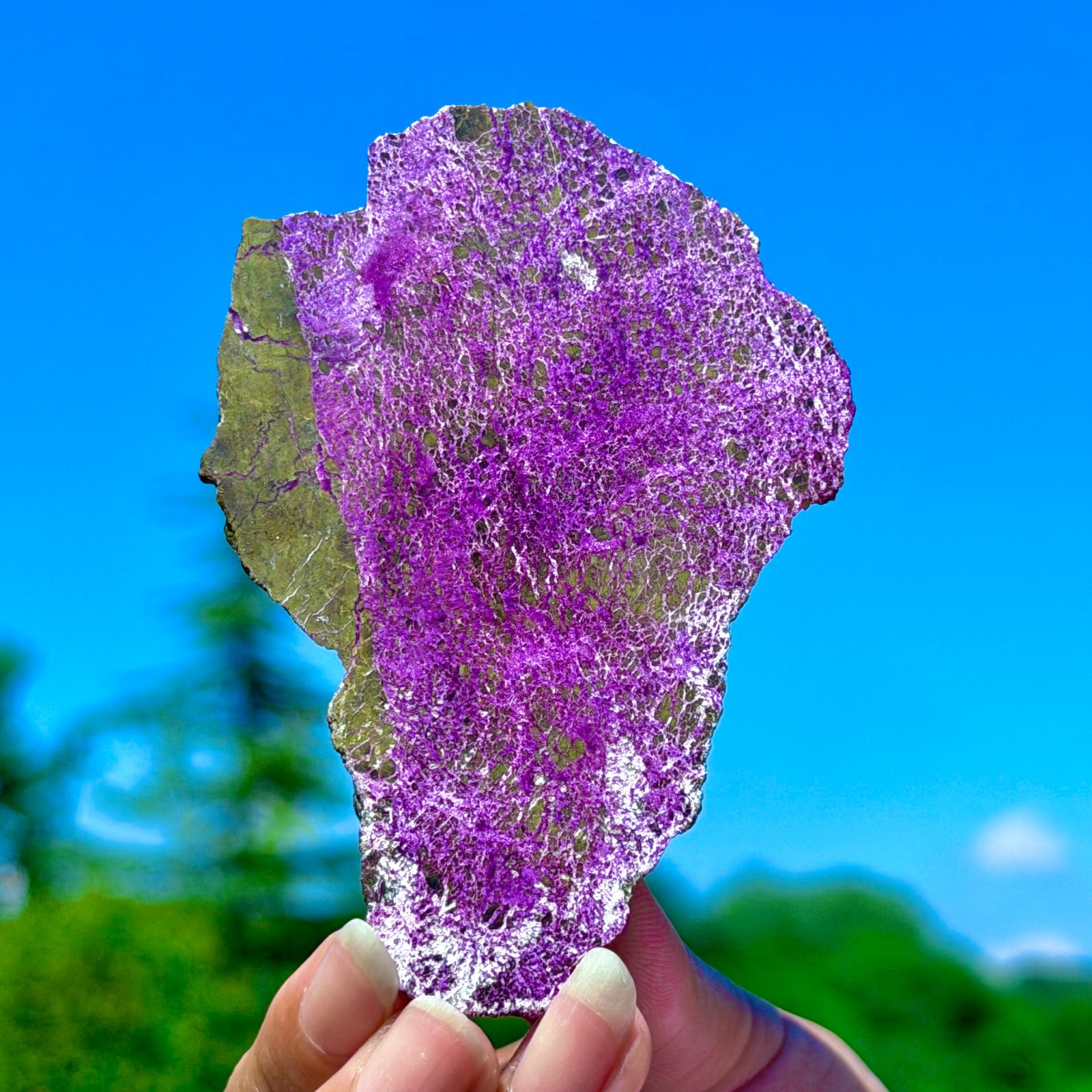 48G Namibia Natural Metallic Purple Purpurite Crystal Slice Extra Large Gem