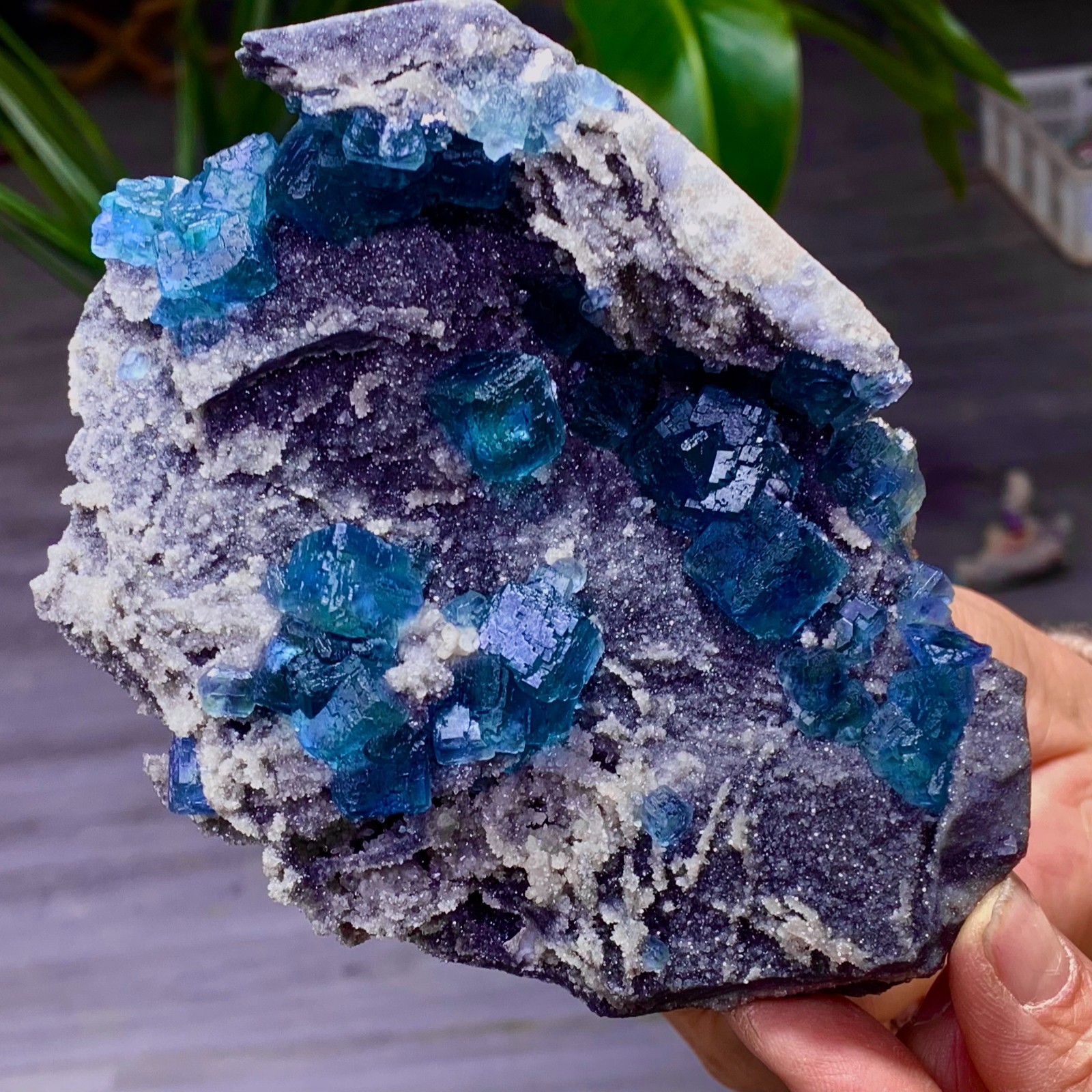 1.36LB Natural transparent purple cubic fluorite mineral sample Inner Mongolia