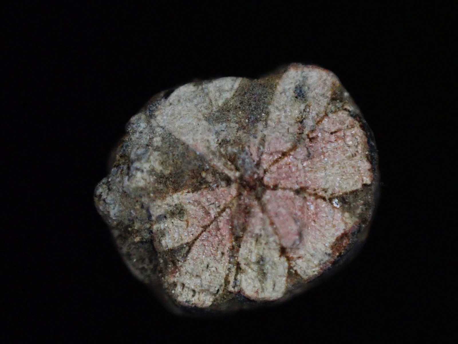 Cordierite Sakura-stone,Cherry blossom stone from Kameyama, Kyoto, Japan　SA01