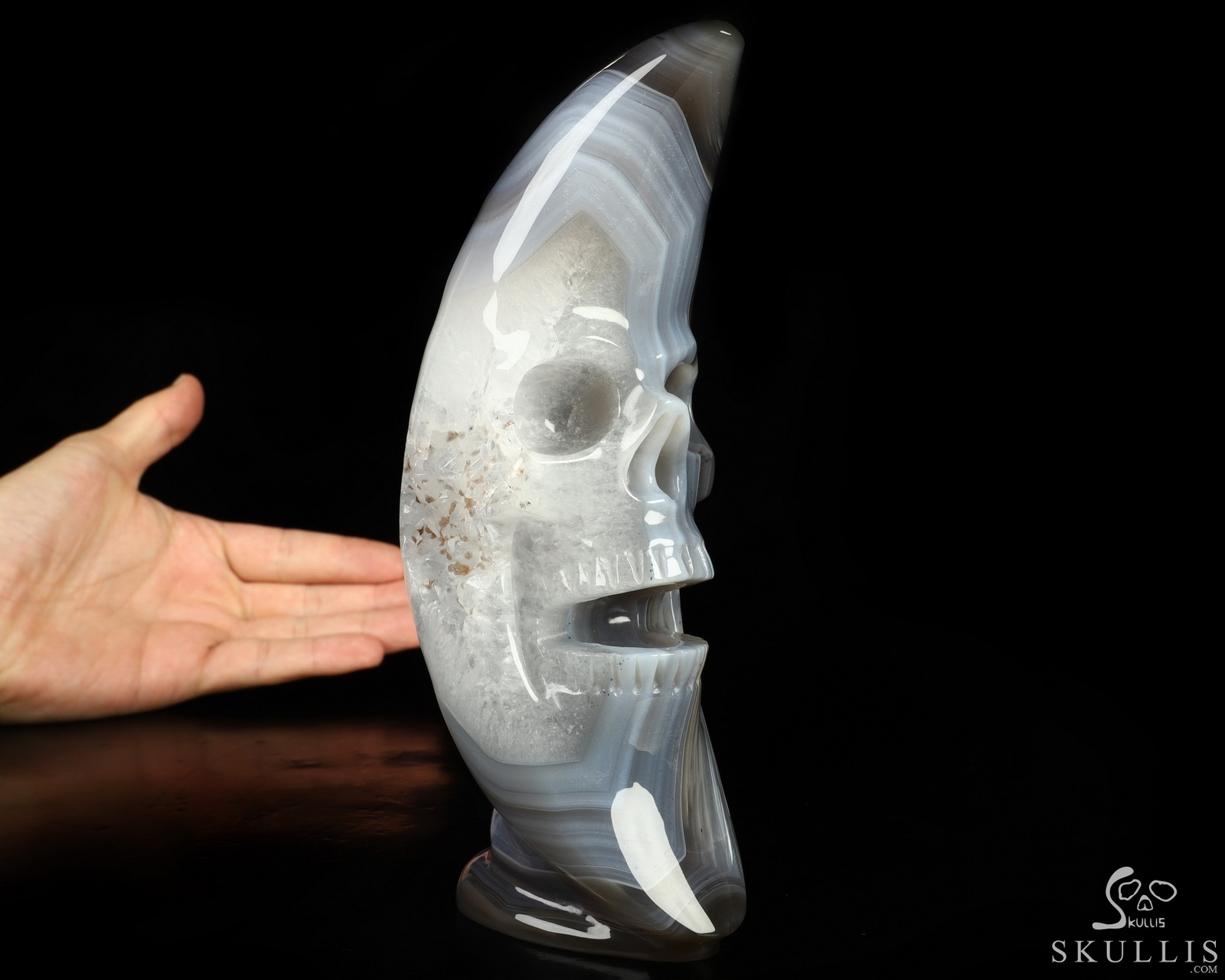 6.7″ Gray & White Agate Hand Carved Crystal Moon Skull Sculpture, Healing