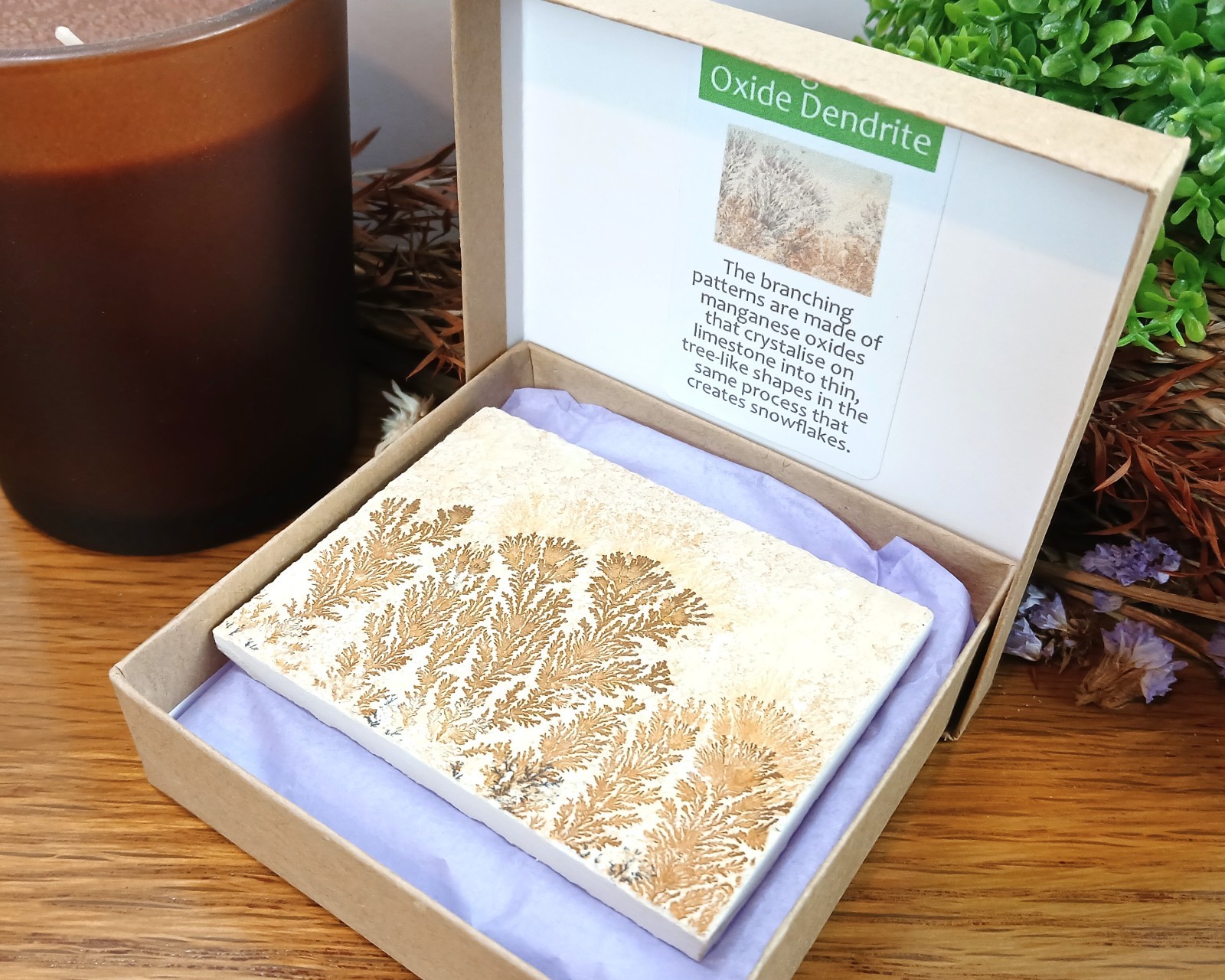 Manganese Oxide Dendrites Plaque 80mm Bavaria Germany in Presentation Box