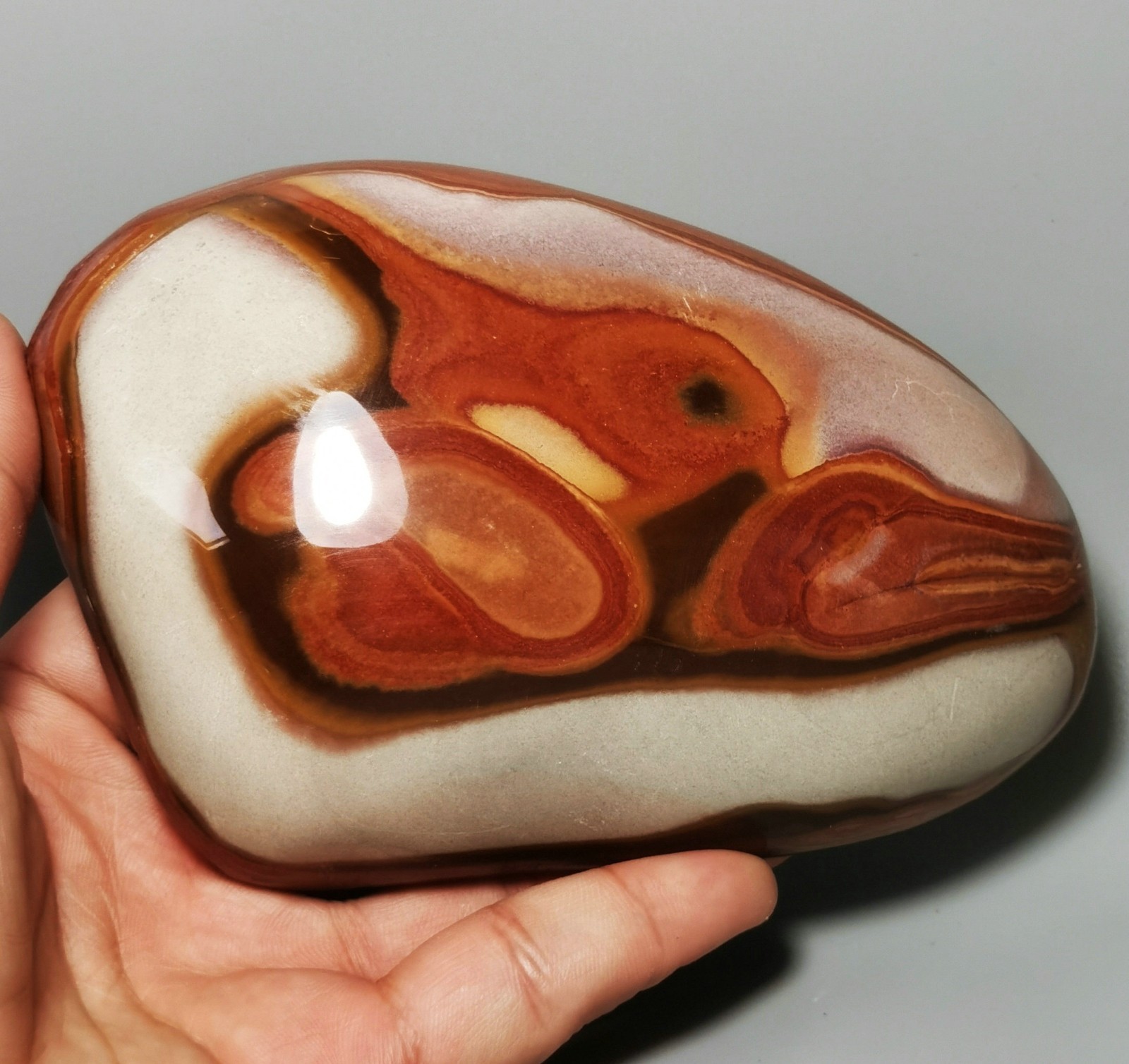 Rare Polished Polychrome Jasper Freeform Reiki Stone Healing